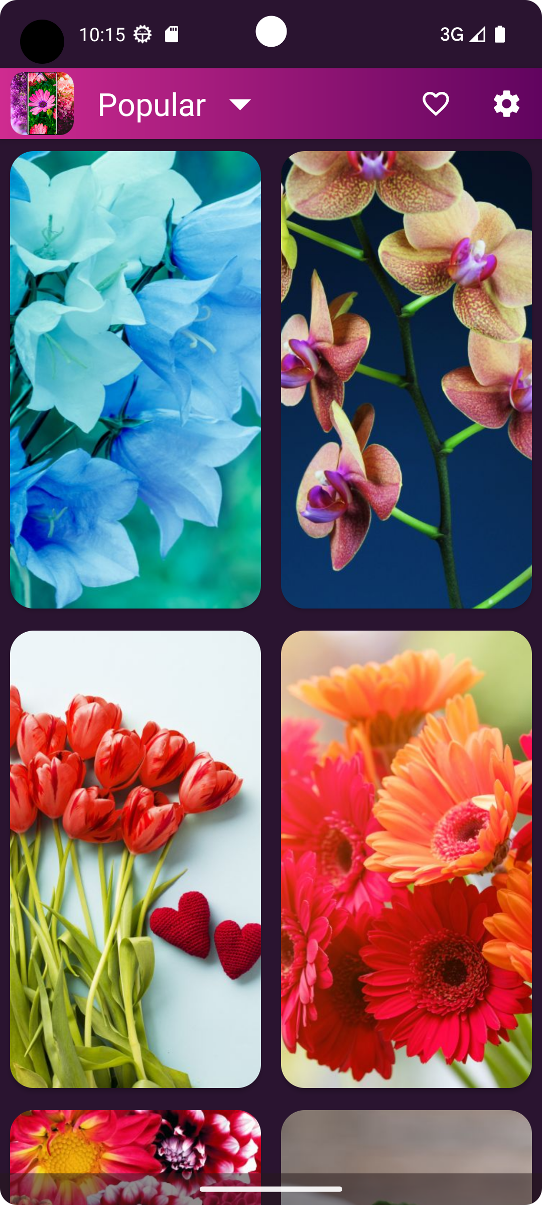 اسکرین شات 6 برنامه Flower Wallpapers - Flowrify