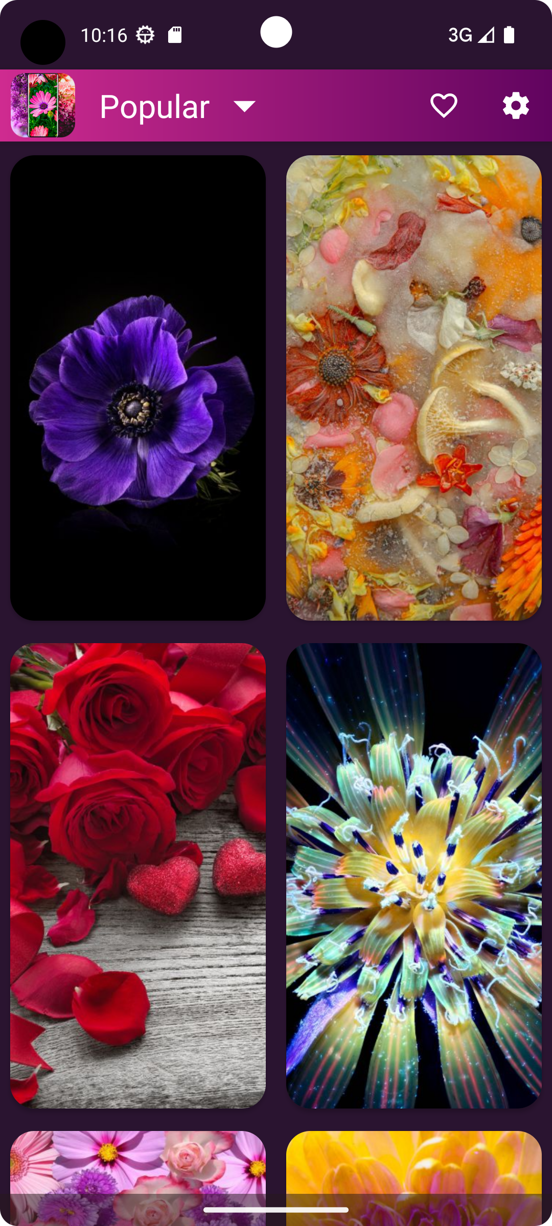 اسکرین شات 7 برنامه Flower Wallpapers - Flowrify