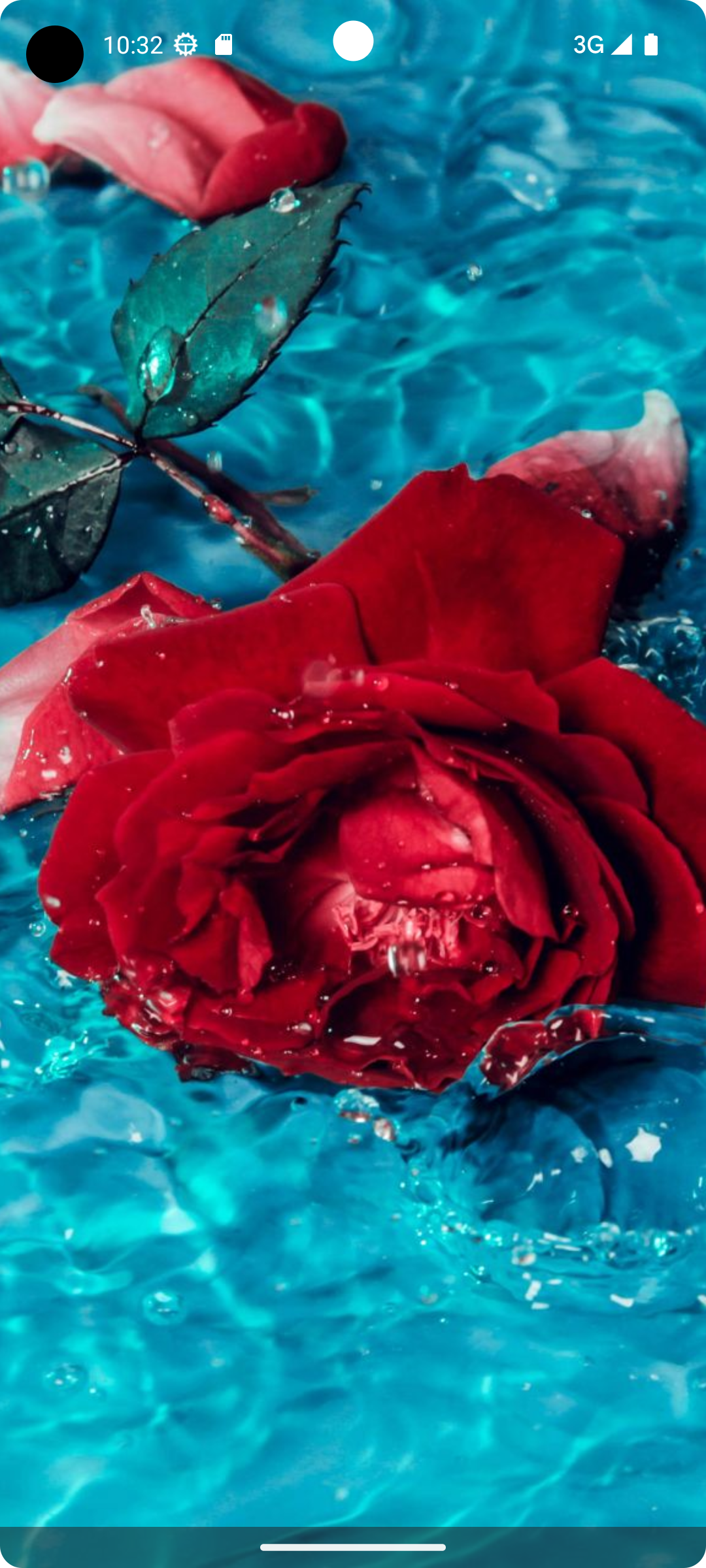 اسکرین شات 3 برنامه Flower Wallpapers - Flowrify