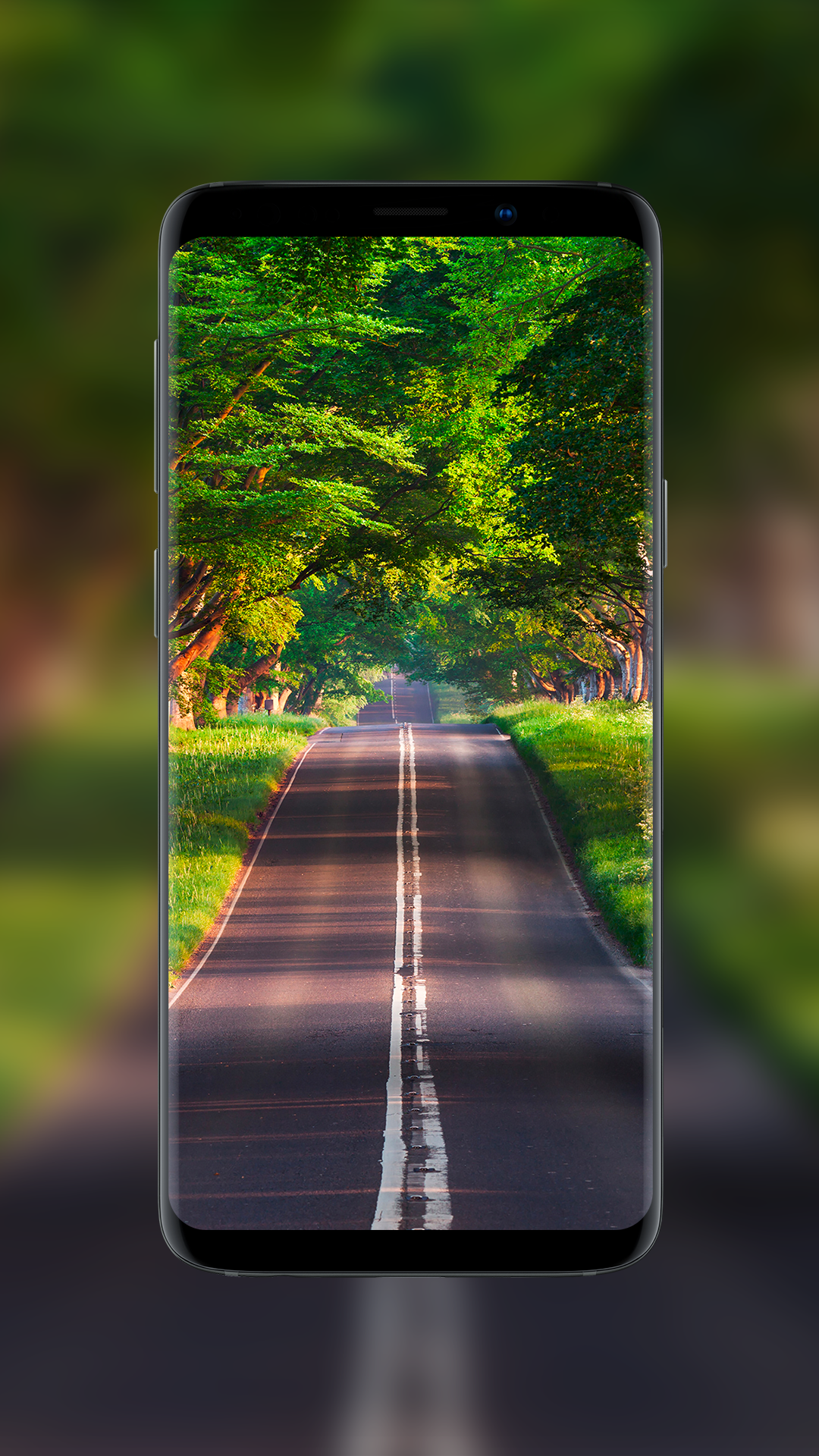 اسکرین شات 5 برنامه Nature Wallpapers - BlissView
