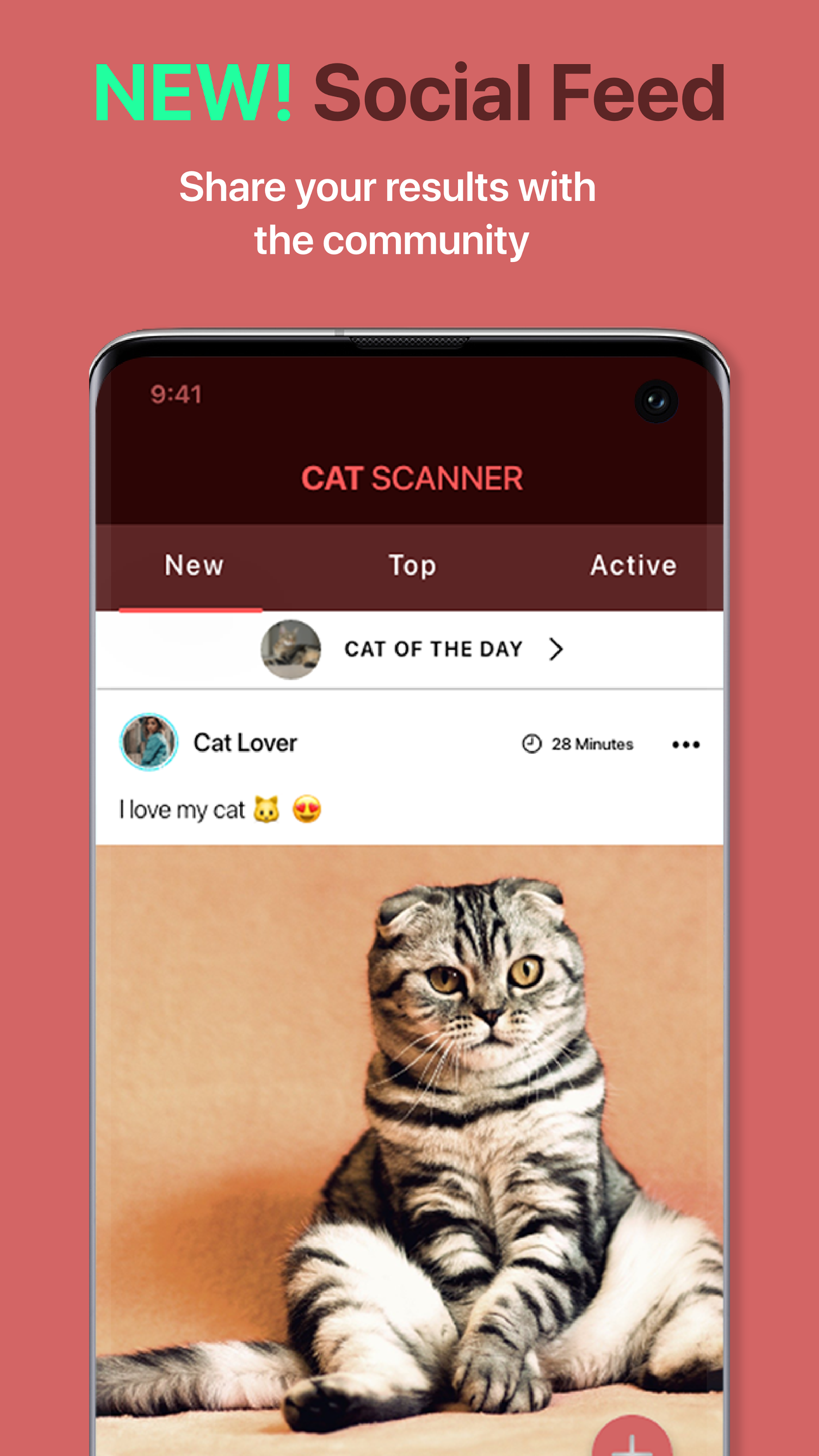 اسکرین شات 4 برنامه Cat Scanner: Breed Recognition