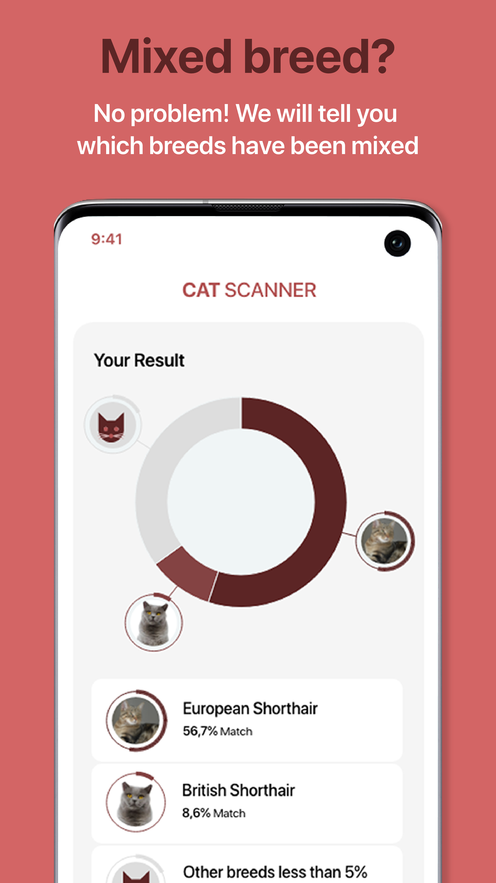 اسکرین شات 2 برنامه Cat Scanner: Breed Recognition