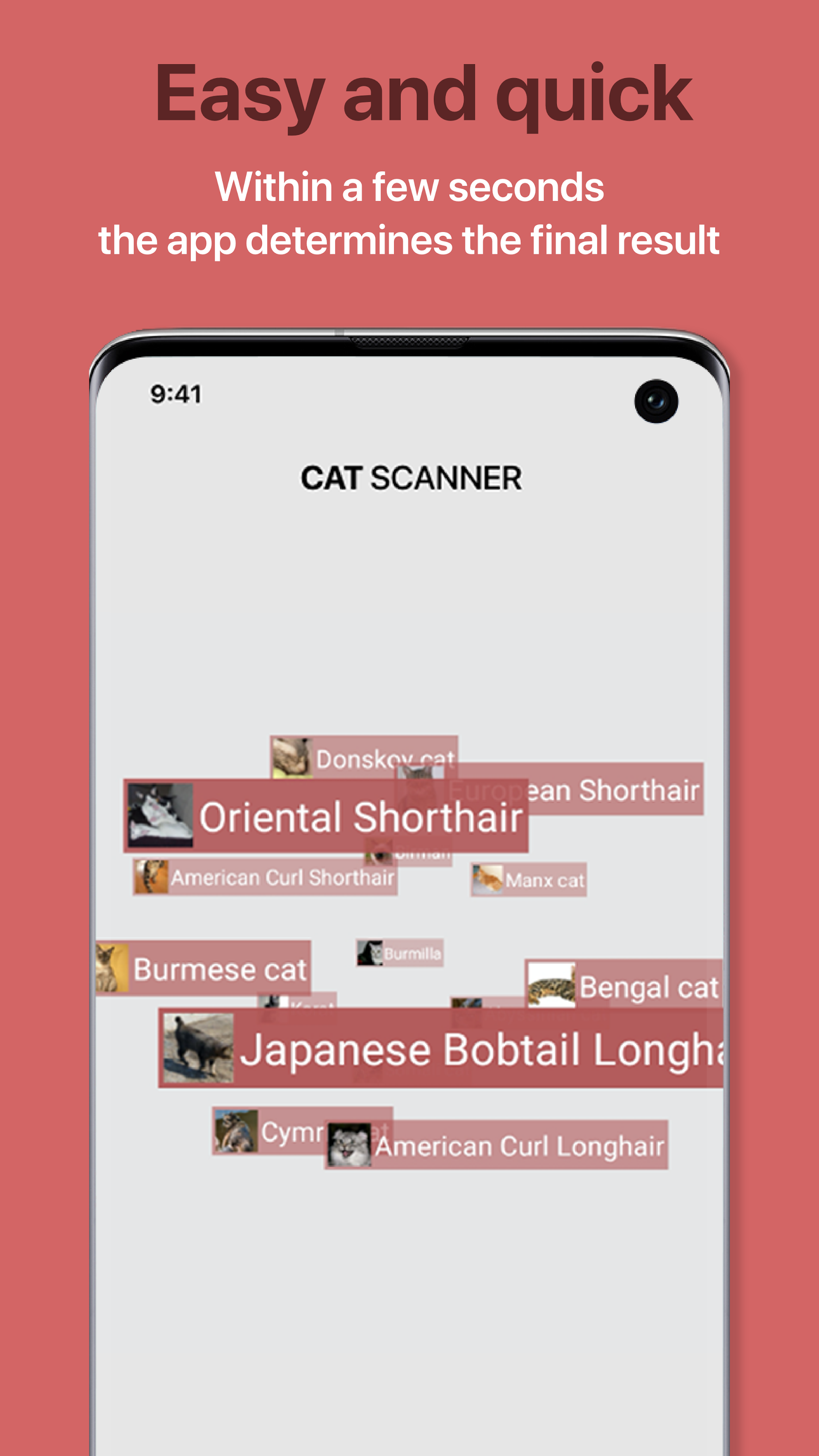 اسکرین شات 3 برنامه Cat Scanner: Breed Recognition