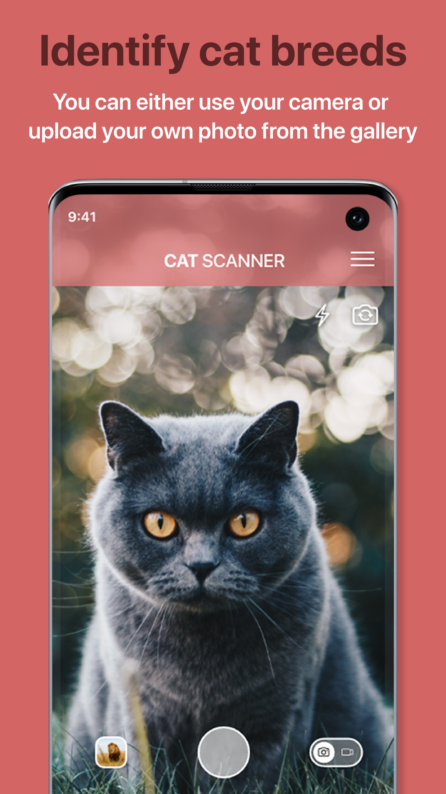 اسکرین شات 1 برنامه Cat Scanner: Breed Recognition