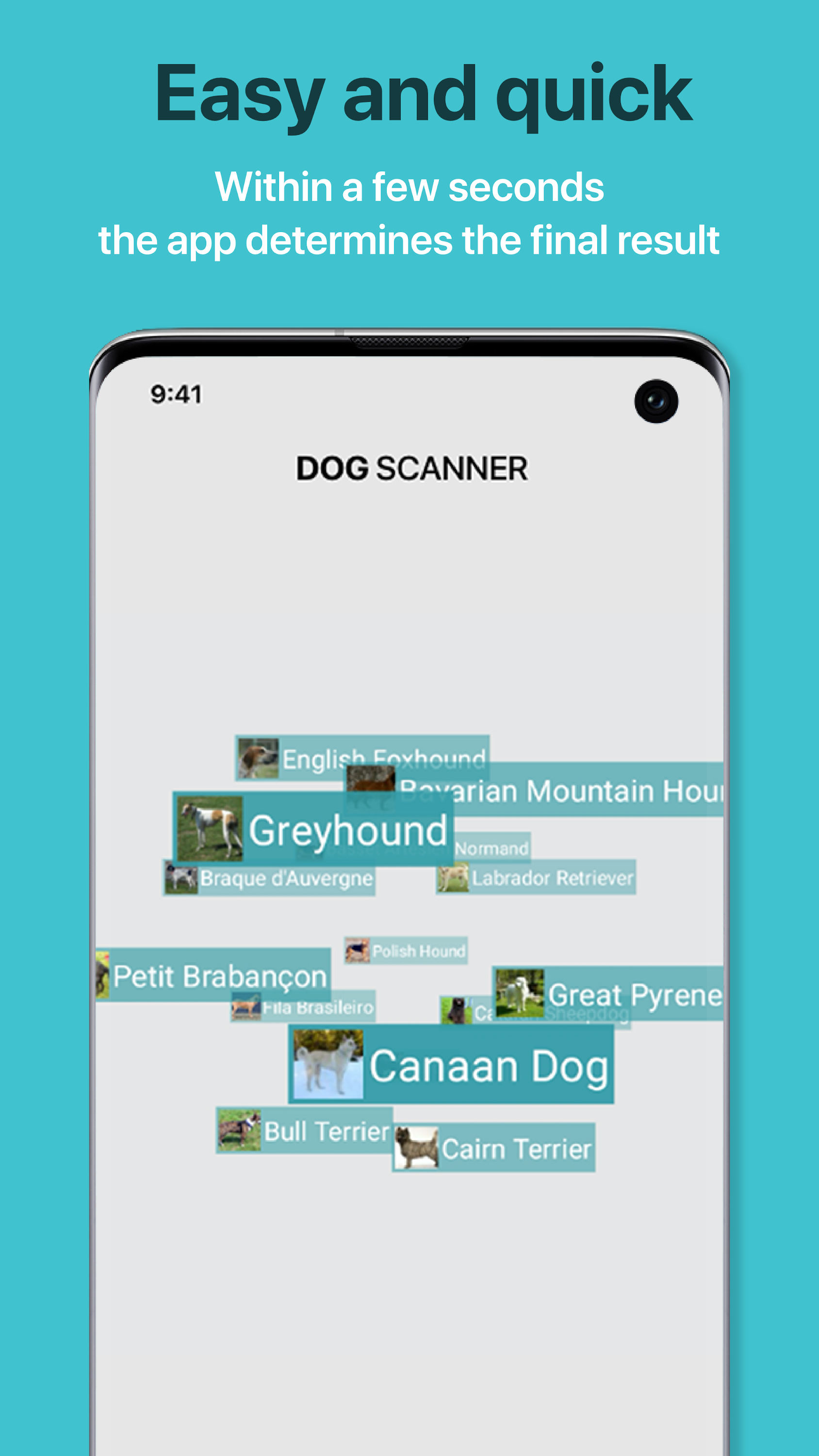 اسکرین شات 3 برنامه Dog Scanner: Breed Recognition