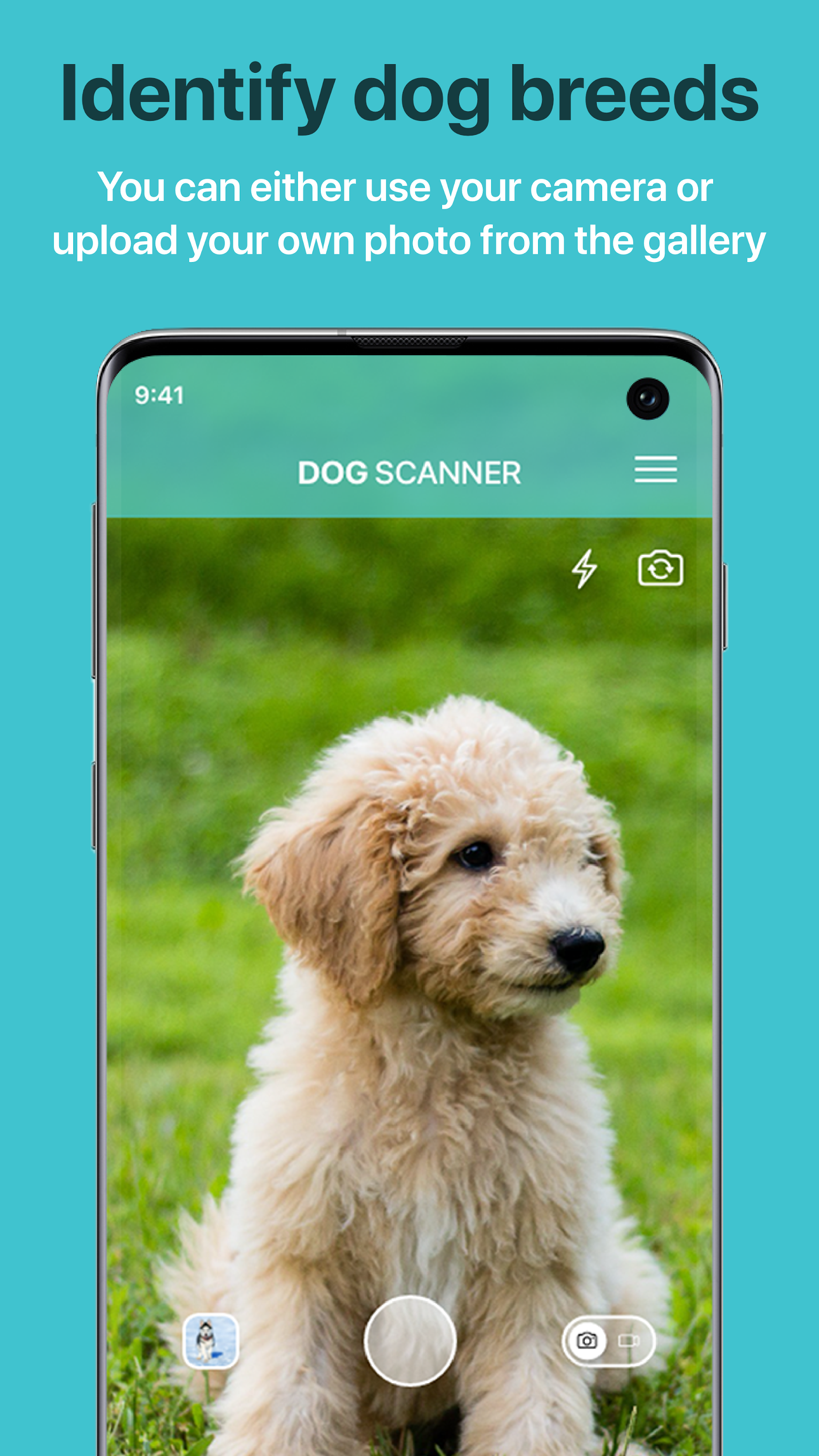 اسکرین شات 1 برنامه Dog Scanner: Breed Recognition