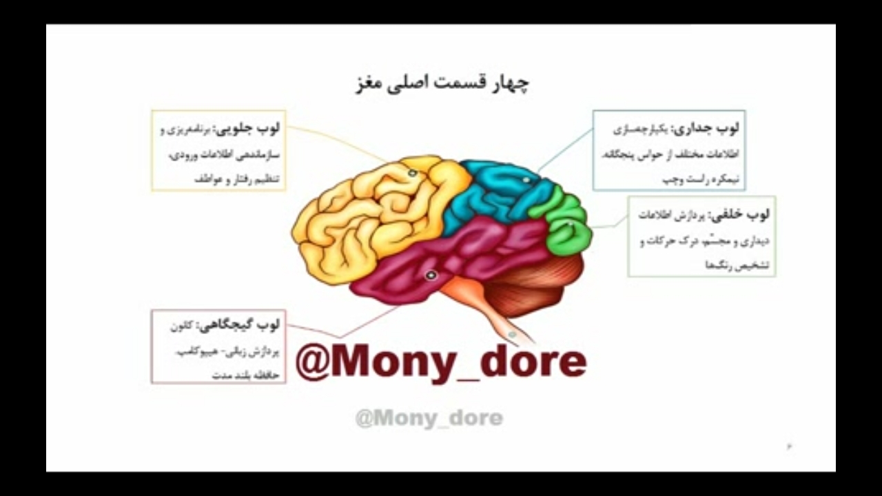 اسکرین شات 4 برنامه آموزش تقویت حافظه و تند خوانی