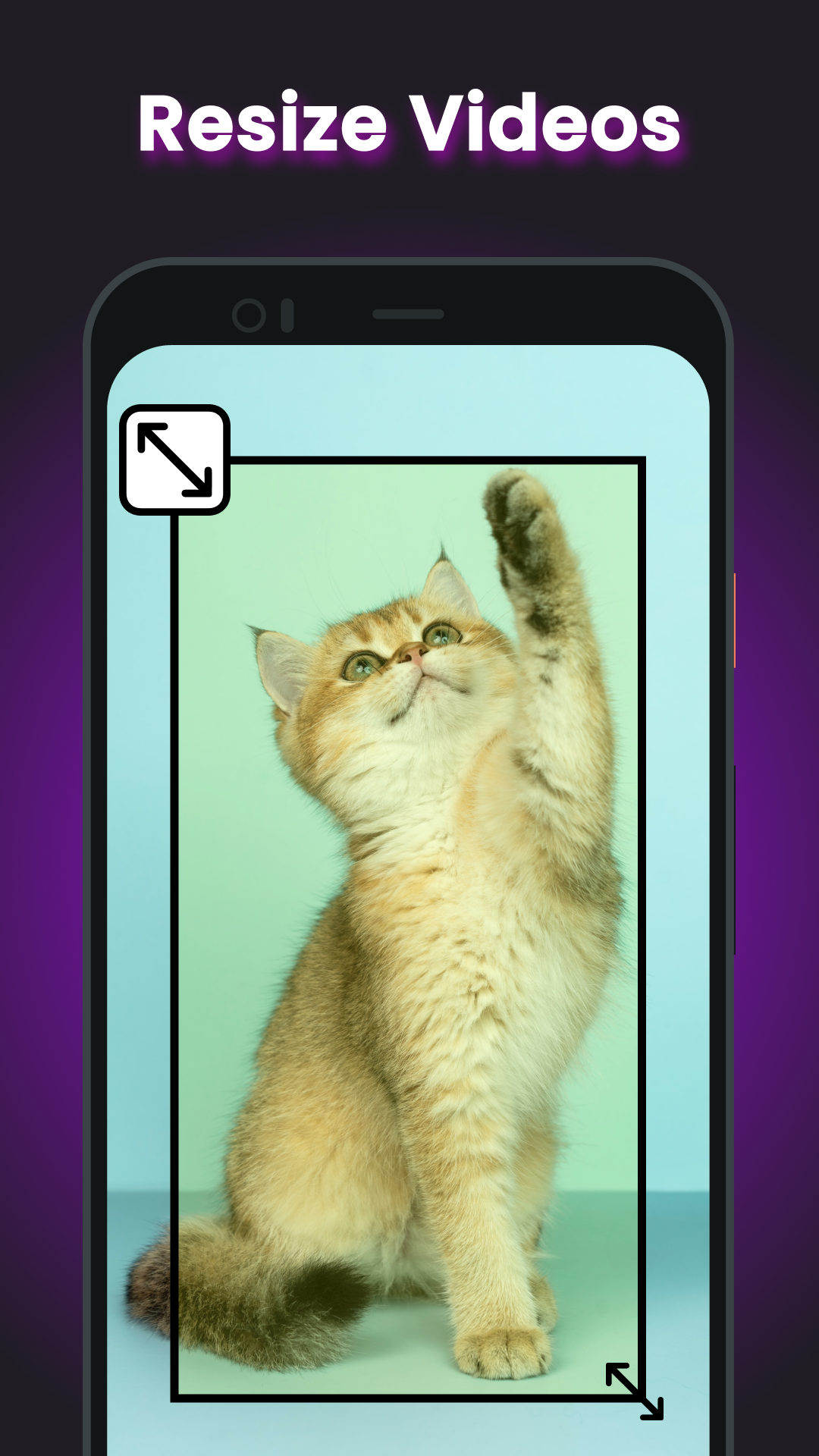 اسکرین شات 6 برنامه Video Editor - Video Converter