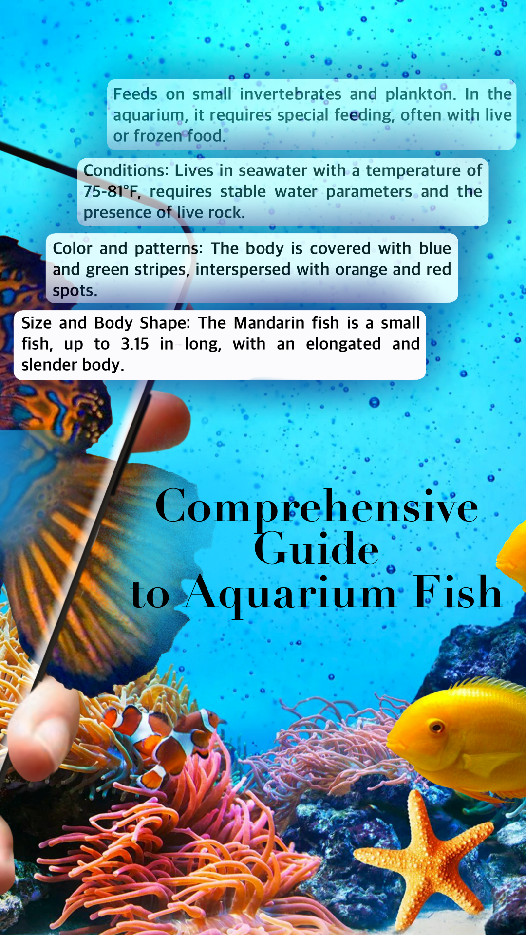 اسکرین شات 2 برنامه Aquarium fish