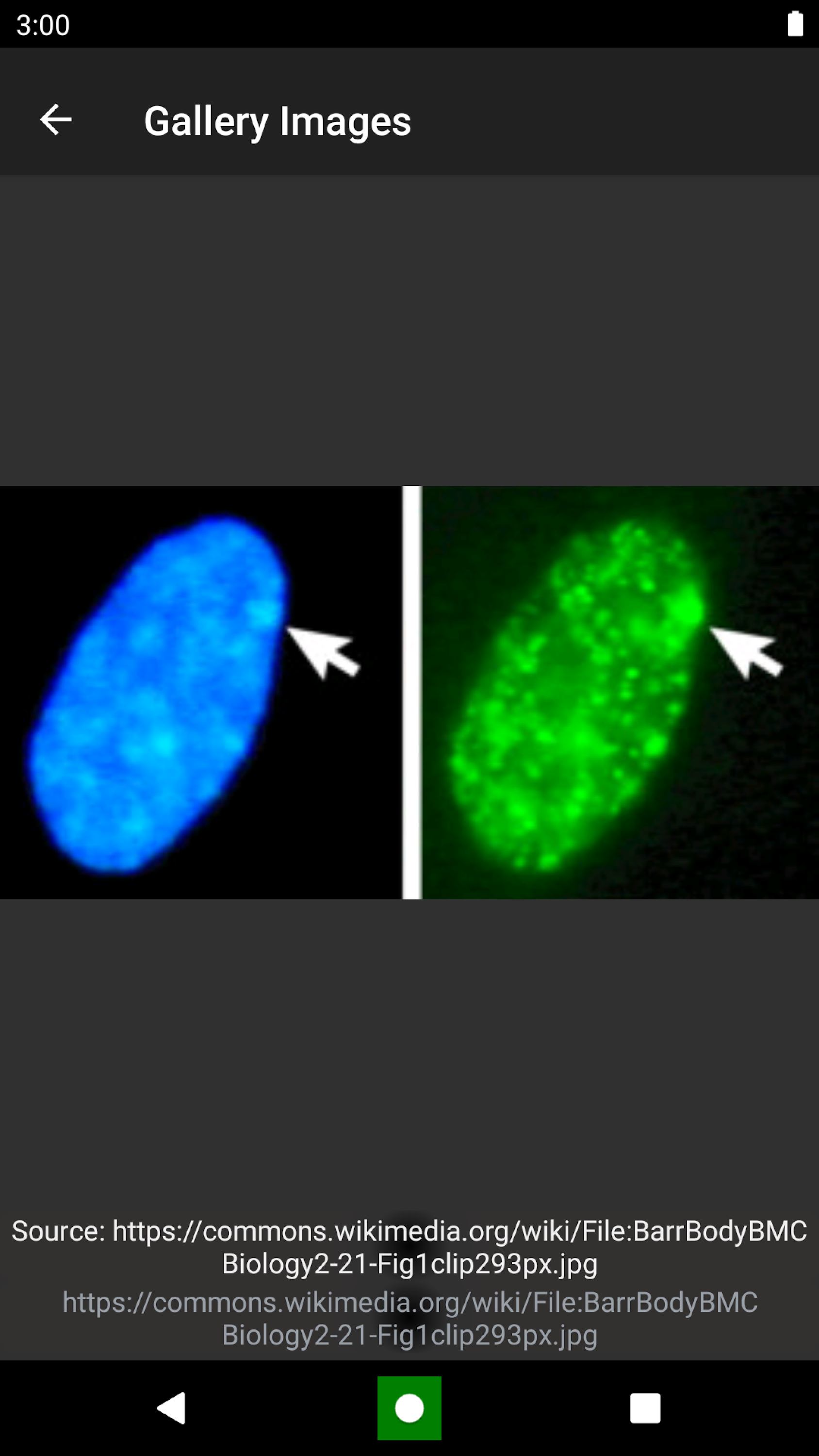 اسکرین شات 5 برنامه Genetics
