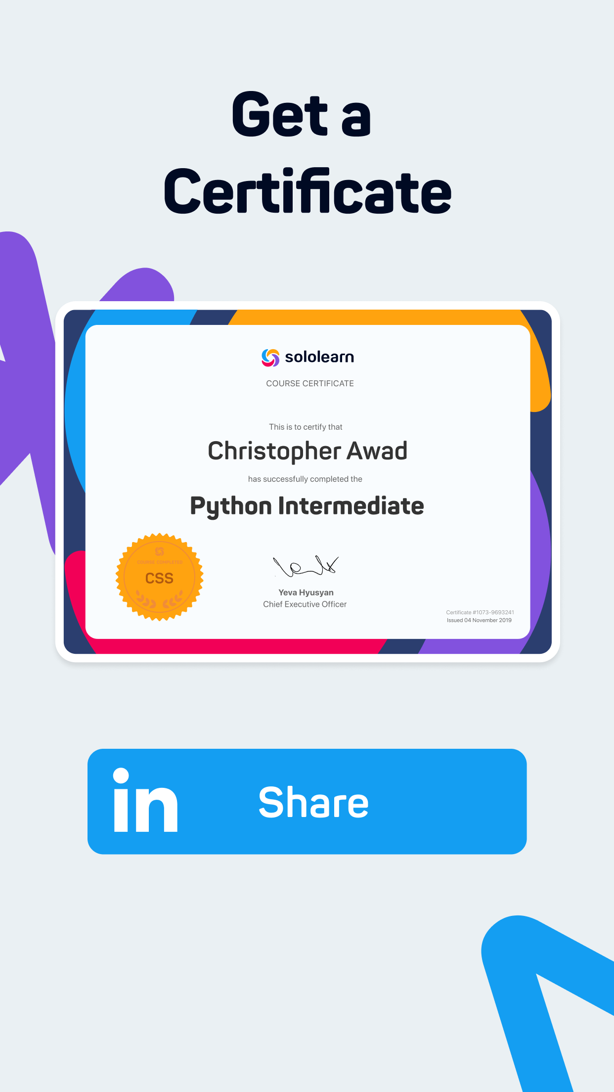 اسکرین شات 6 برنامه Sololearn: Learn to code