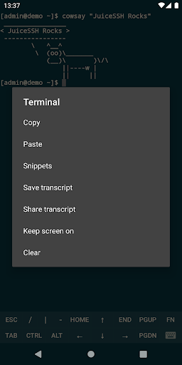 اسکرین شات برنامه JuiceSSH - SSH Client 8