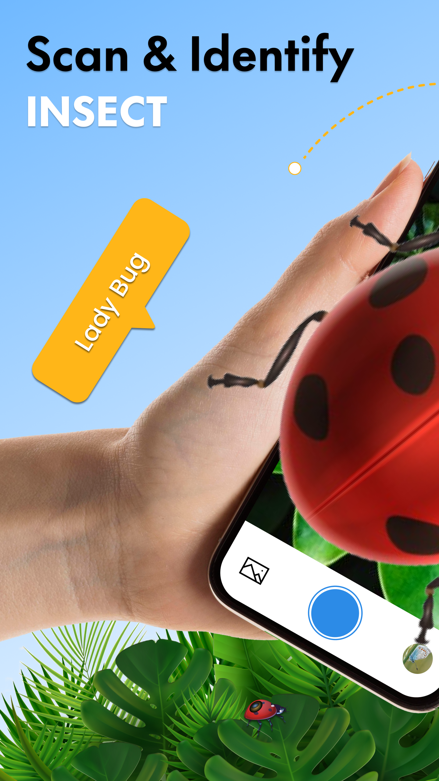 اسکرین شات 1 برنامه Bug Identifier AI: Insect ID