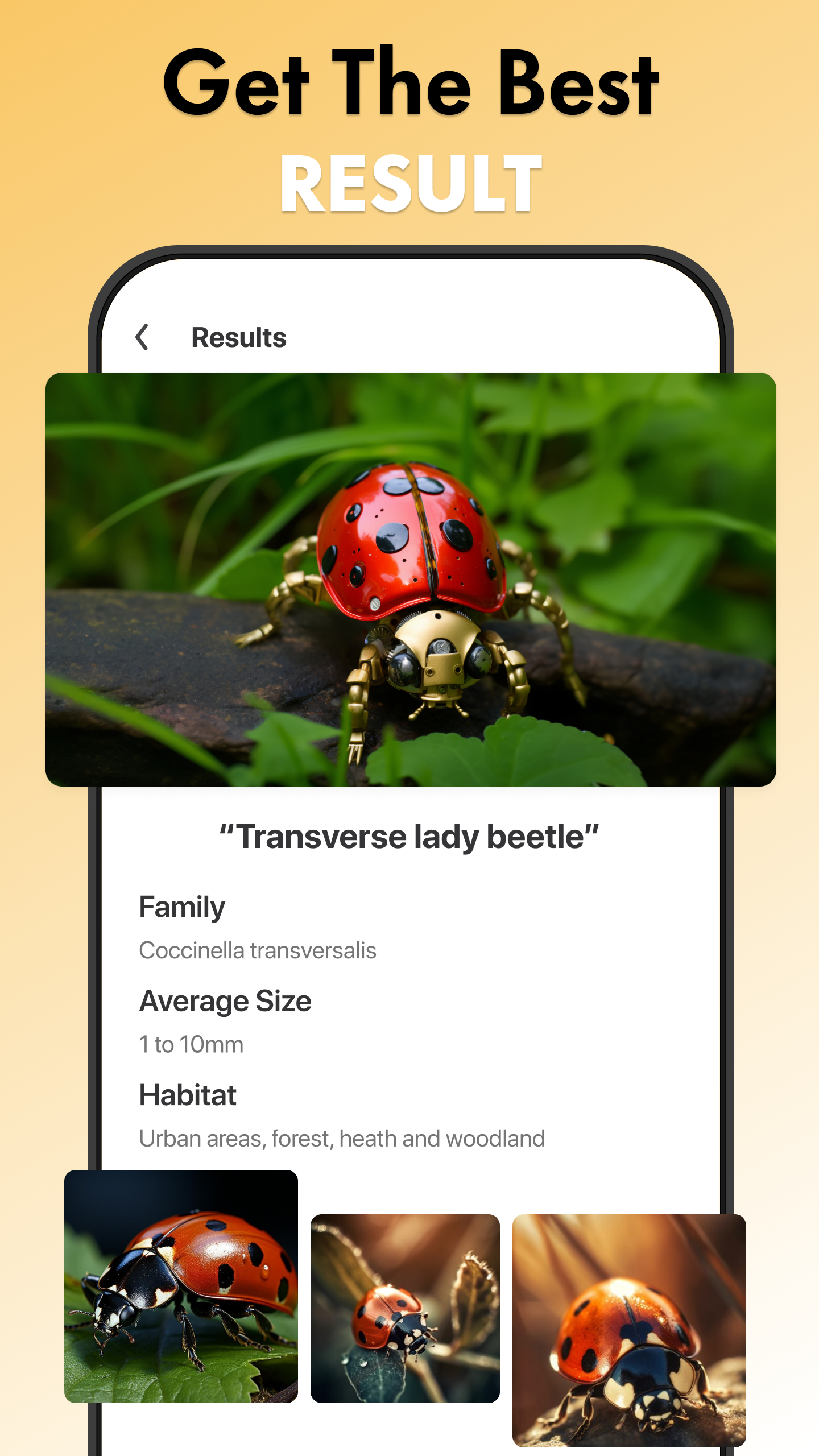 اسکرین شات 3 برنامه Bug Identifier AI: Insect ID