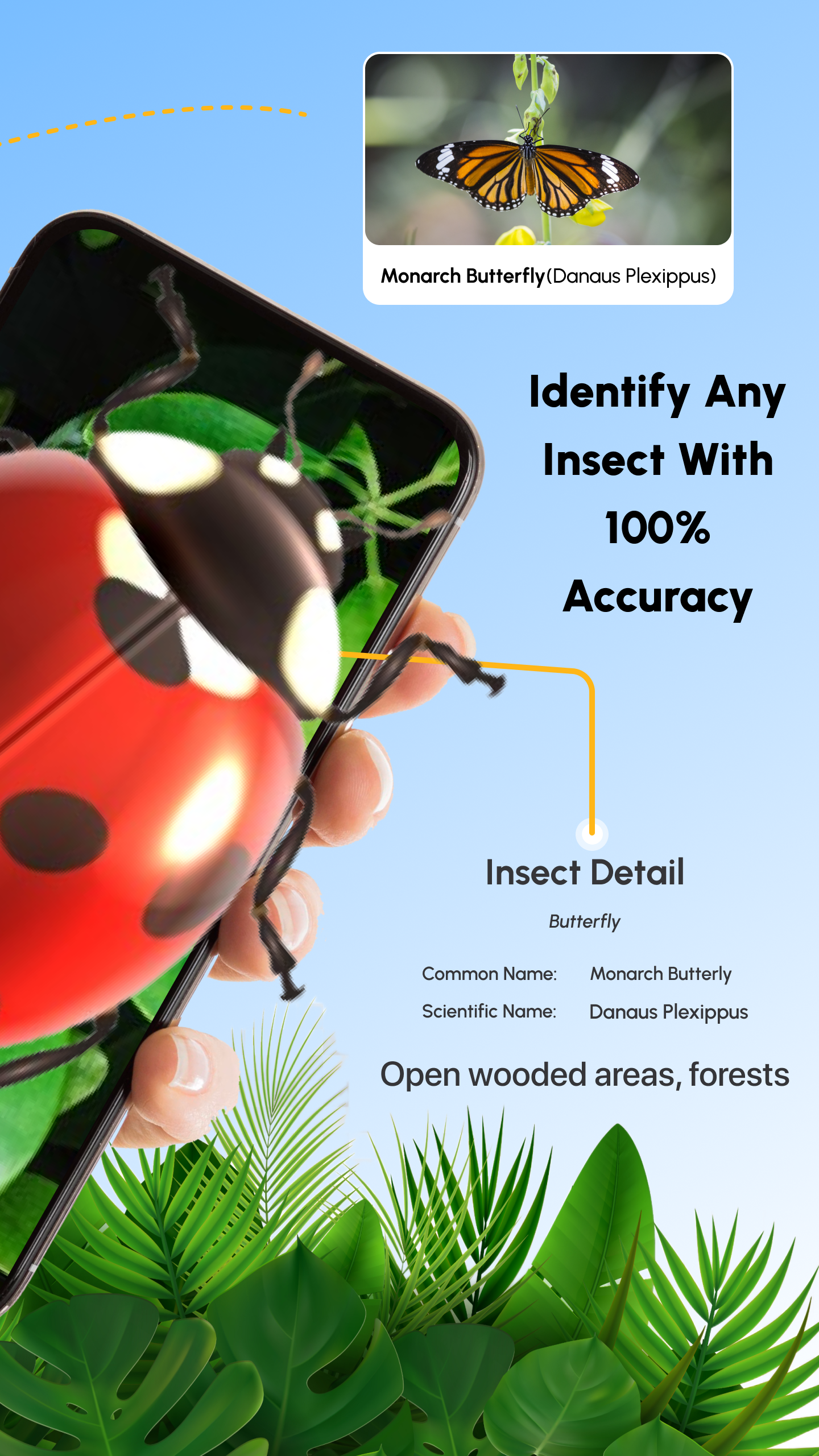 اسکرین شات 2 برنامه Bug Identifier AI: Insect ID