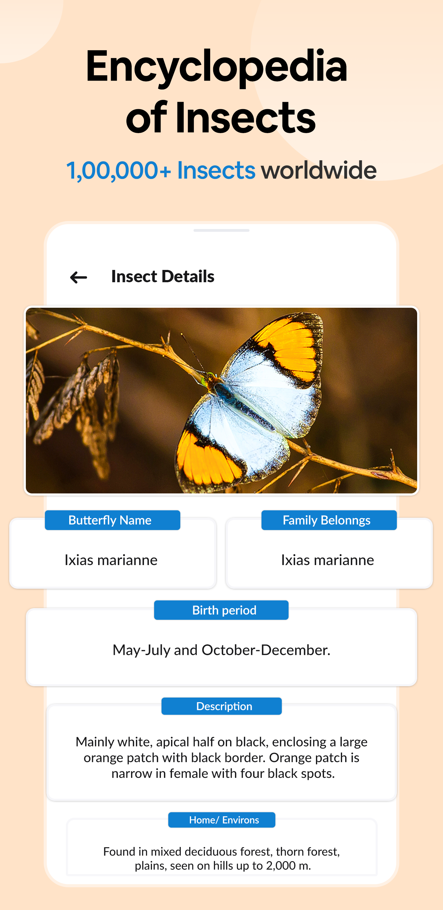 اسکرین شات 6 برنامه Insect Spider & Bug identifier