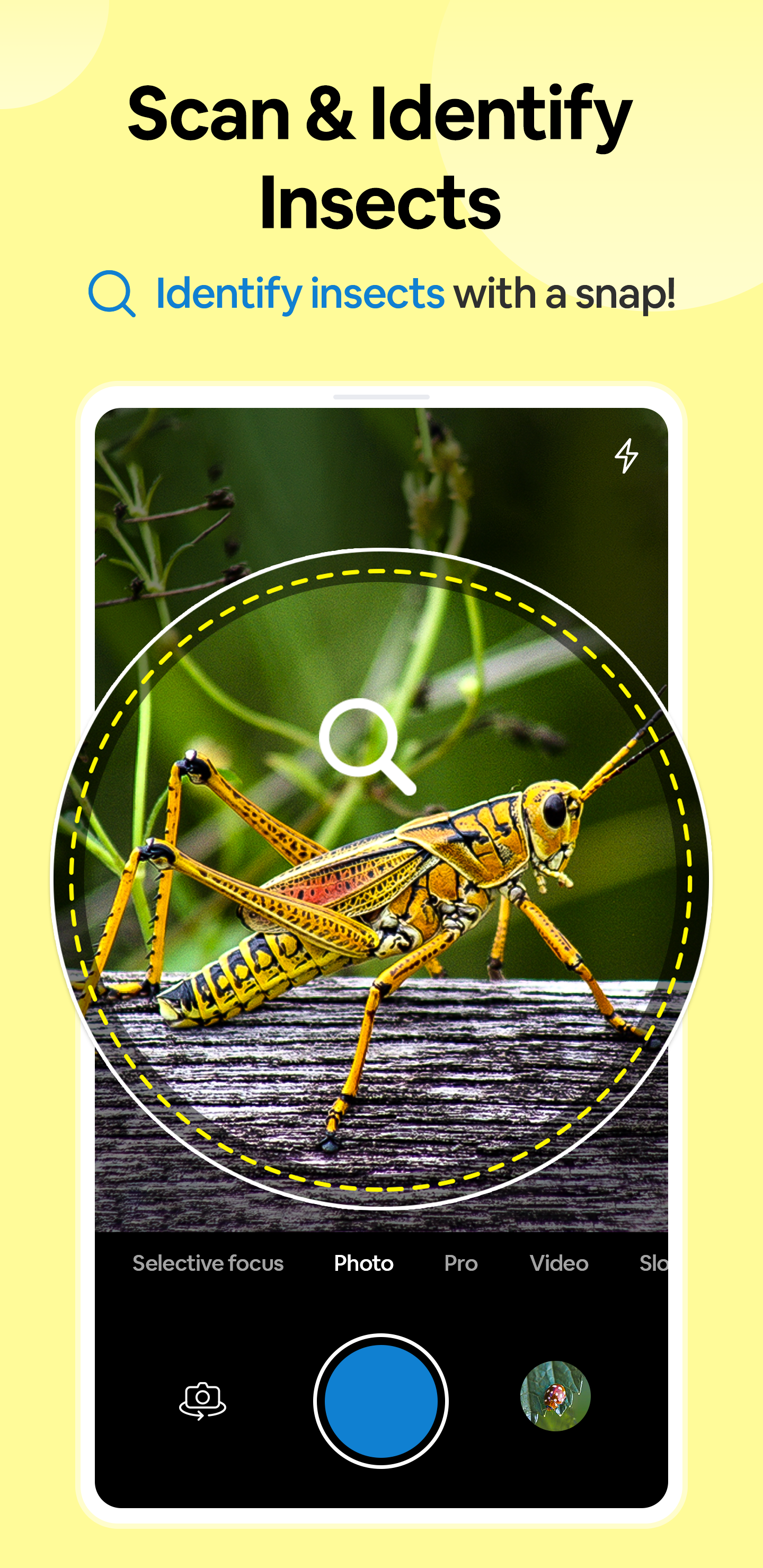 اسکرین شات 1 برنامه Insect Spider & Bug identifier