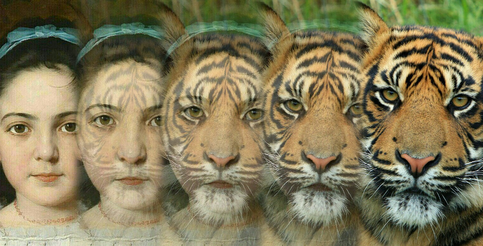 اسکرین شات 1 برنامه Zooface - GIF Animal Morph