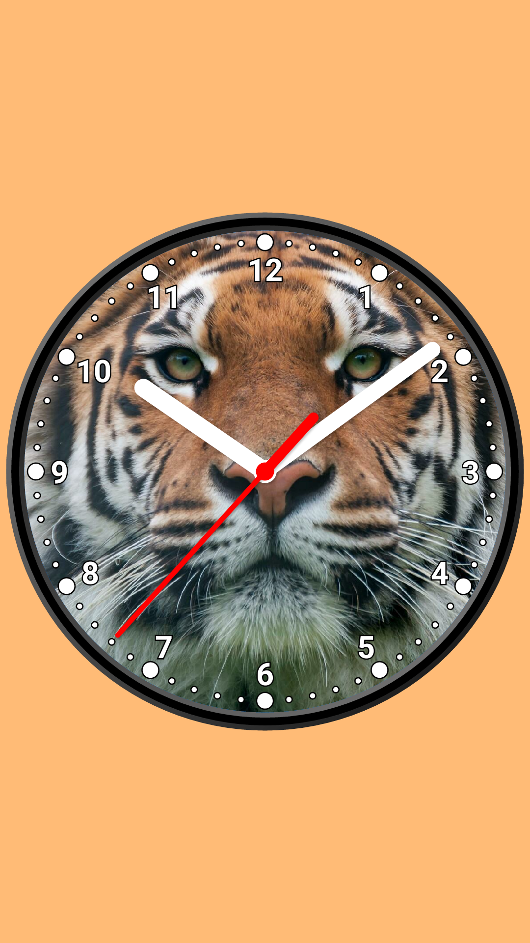 اسکرین شات 3 برنامه Photo Analog Clock-7