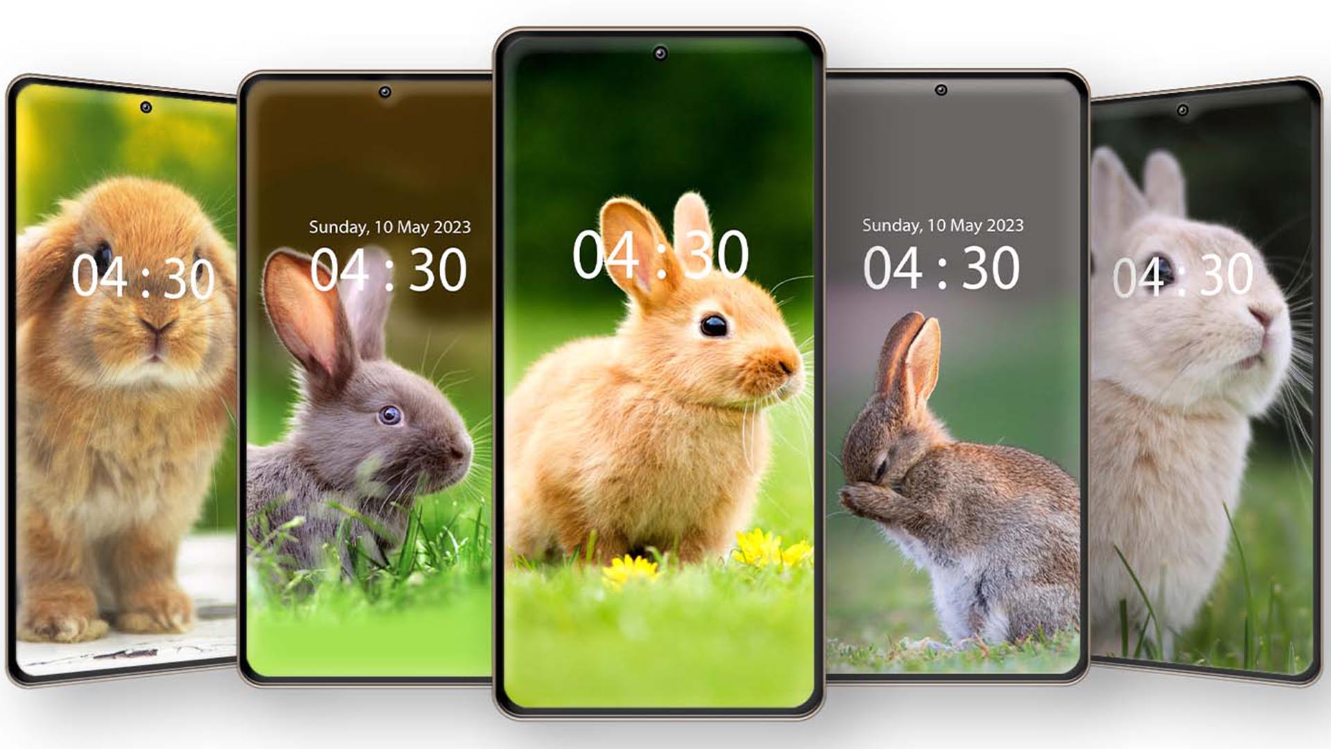 اسکرین شات 1 برنامه Cute Rabbit Wallpaper HD