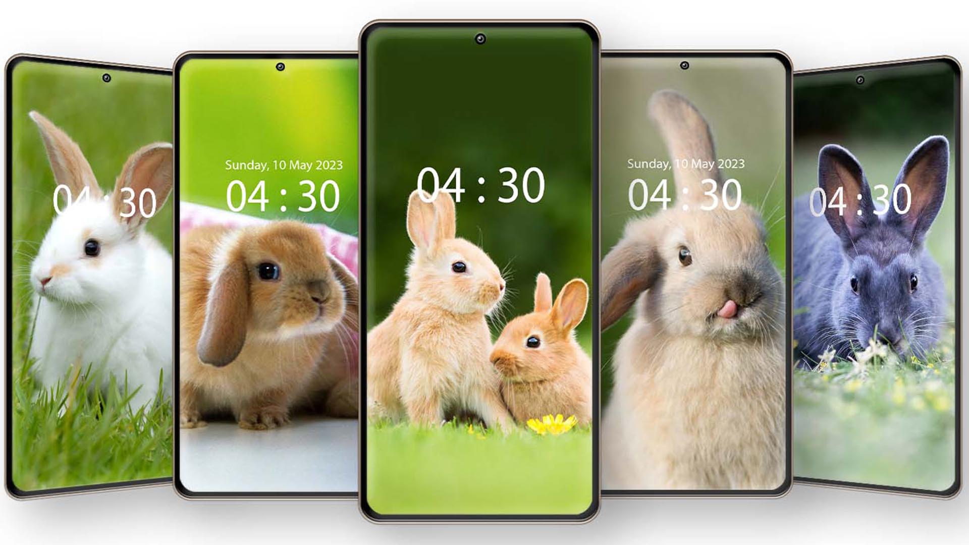 اسکرین شات 3 برنامه Cute Rabbit Wallpaper HD