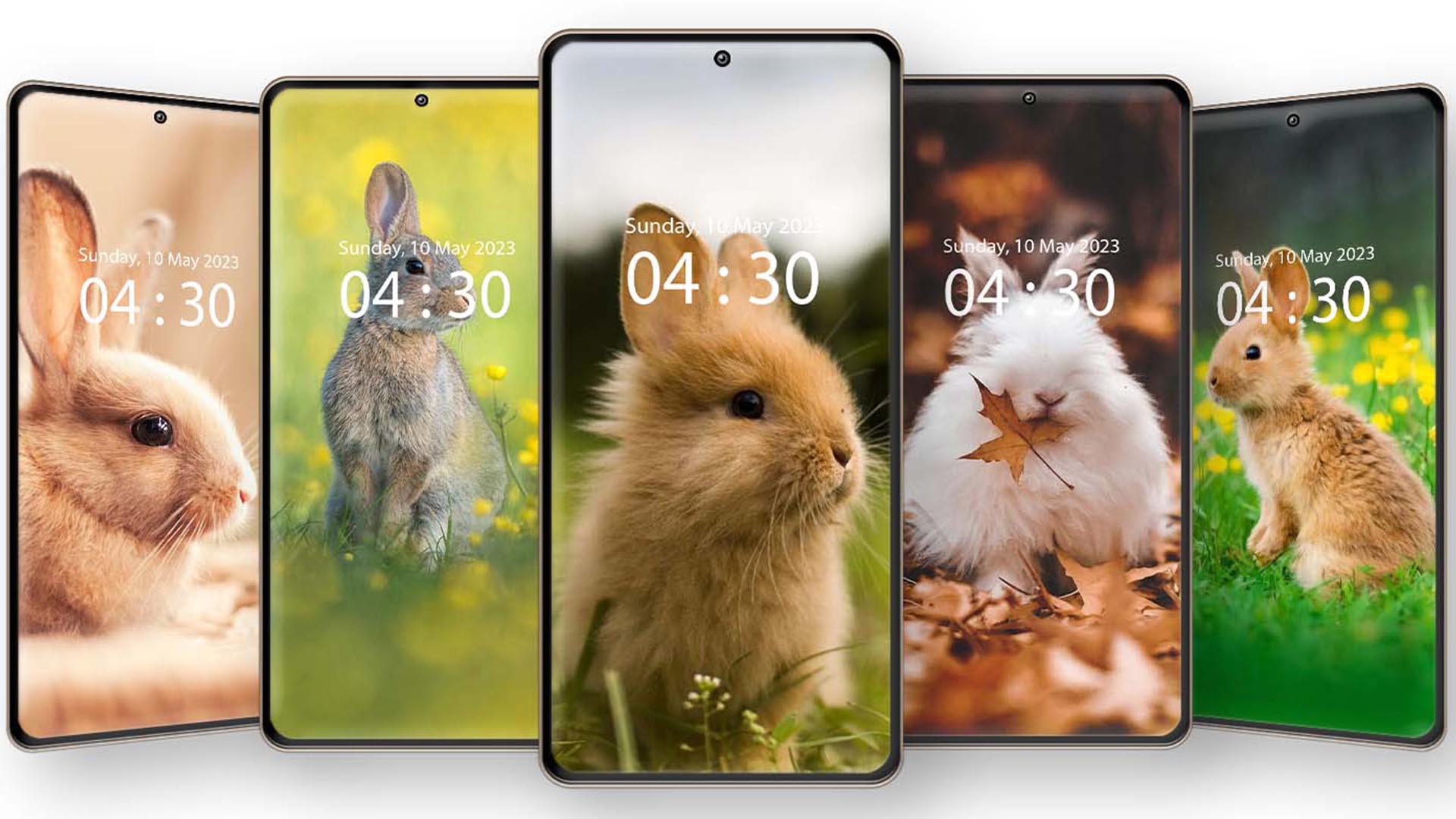اسکرین شات 2 برنامه Cute Rabbit Wallpaper HD