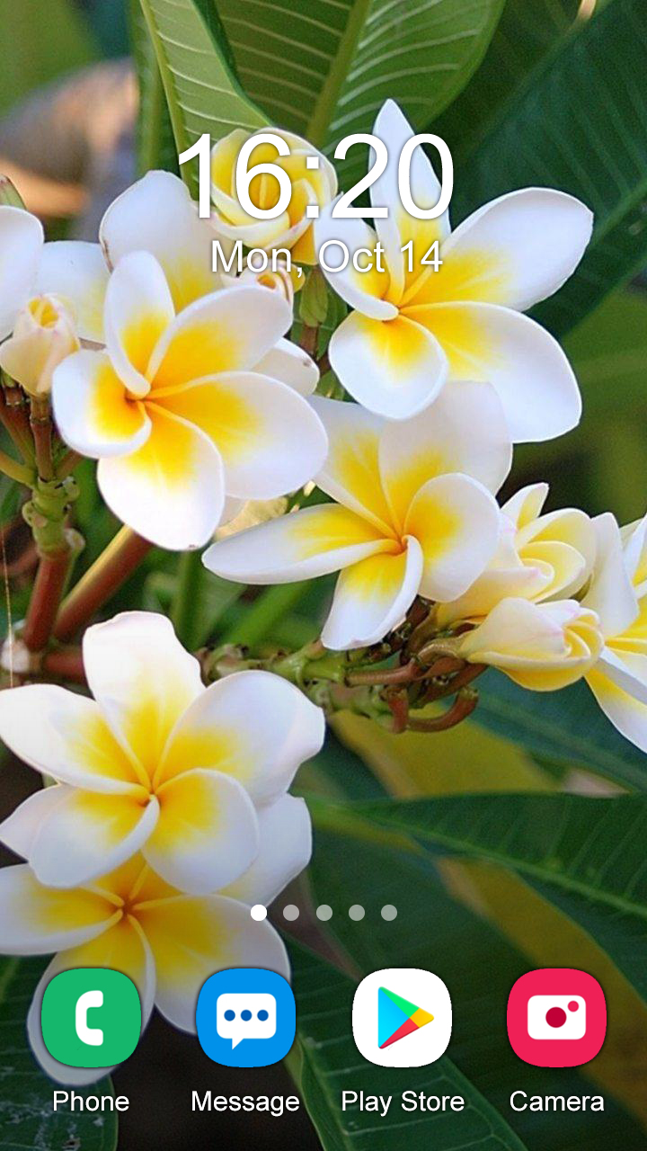 اسکرین شات 5 برنامه Flower Wallpaper 2025