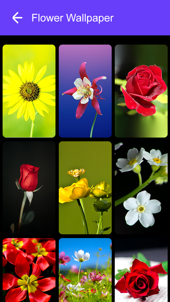 اسکرین شات 7 برنامه Flower Wallpaper 2025