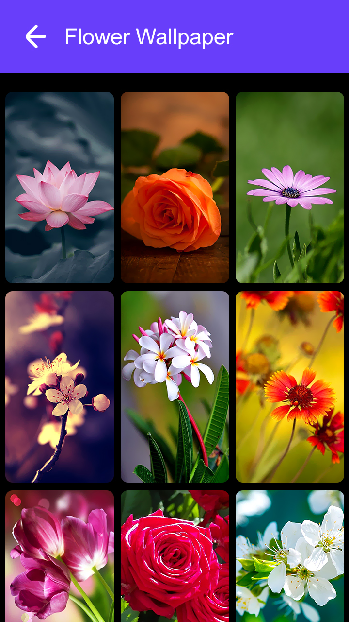 اسکرین شات 8 برنامه Flower Wallpaper 2025