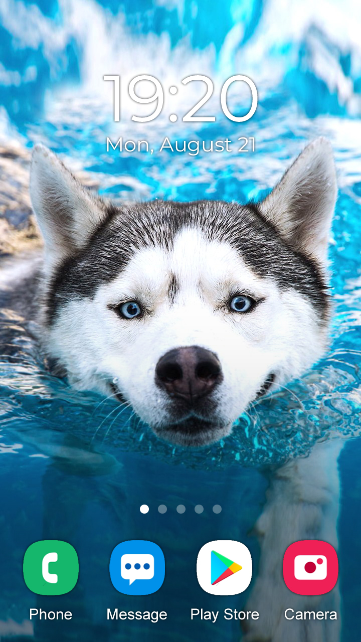 اسکرین شات 5 برنامه Husky Dog Wallpaper 2024