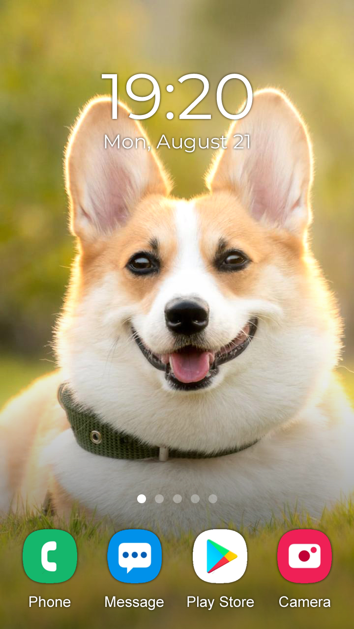 اسکرین شات 3 برنامه Husky Dog Wallpaper 2024