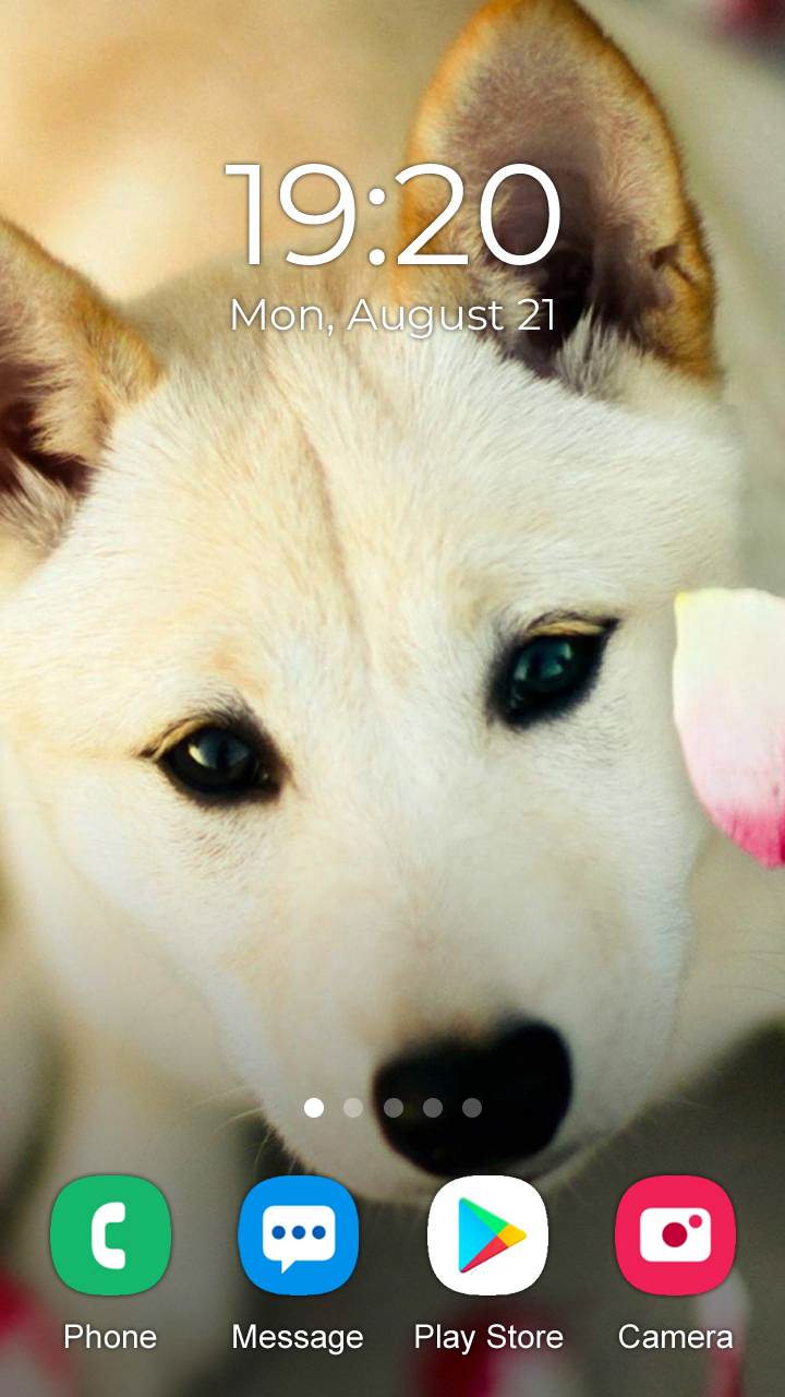 اسکرین شات 4 برنامه Husky Dog Wallpaper 2024