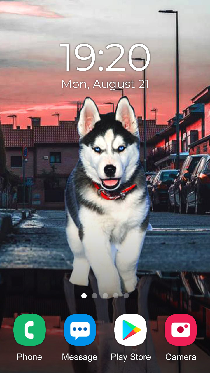 اسکرین شات 6 برنامه Husky Dog Wallpaper 2024