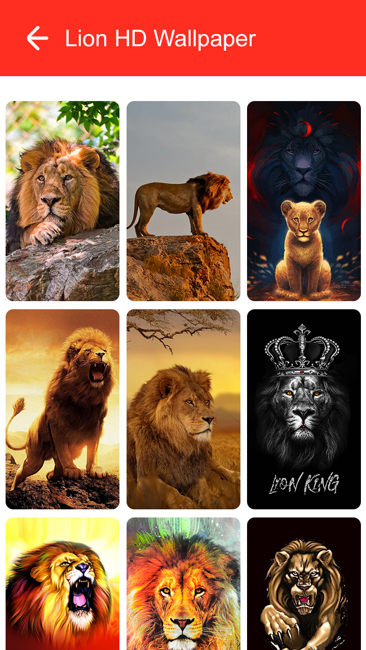 اسکرین شات 8 برنامه Lion Wallpaper 2025