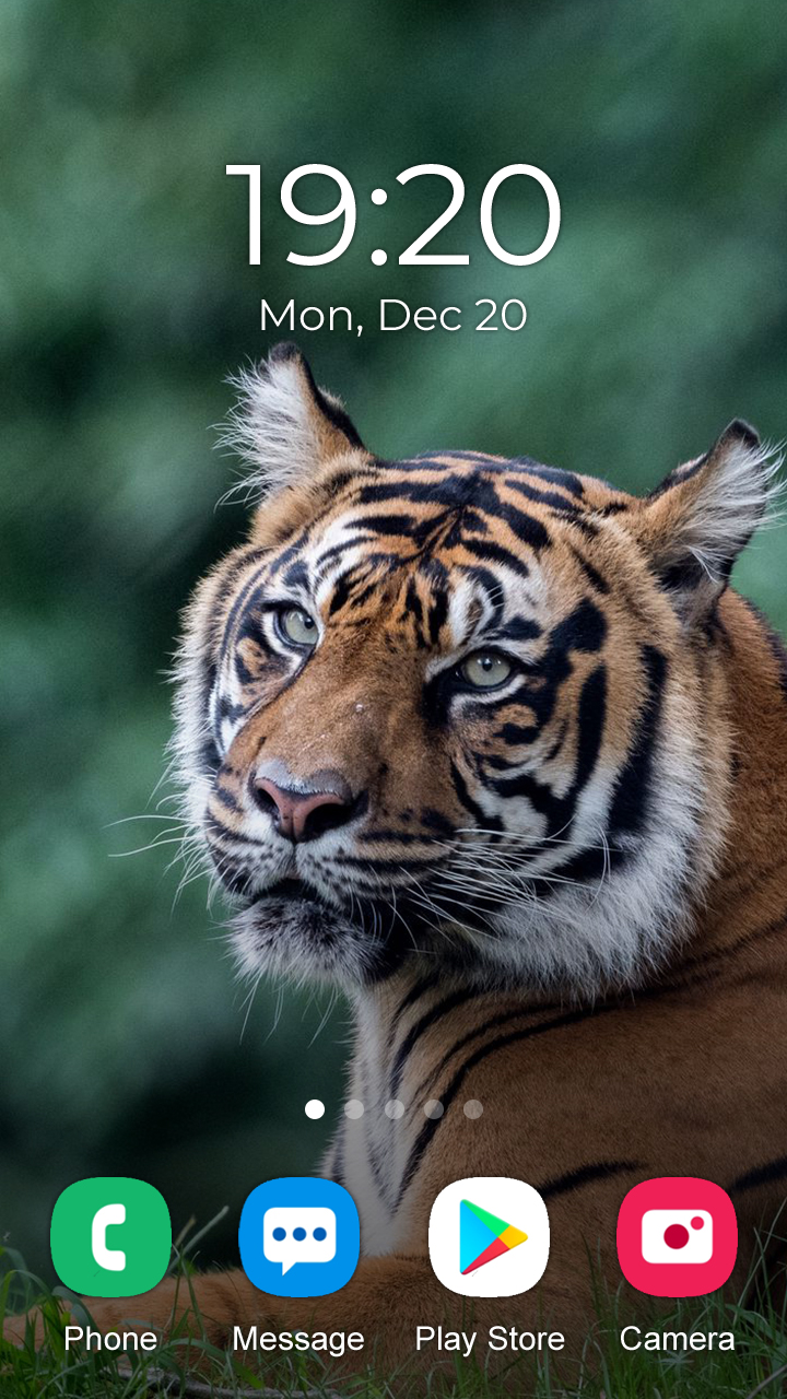 اسکرین شات 5 برنامه Nature Wallpaper 2025