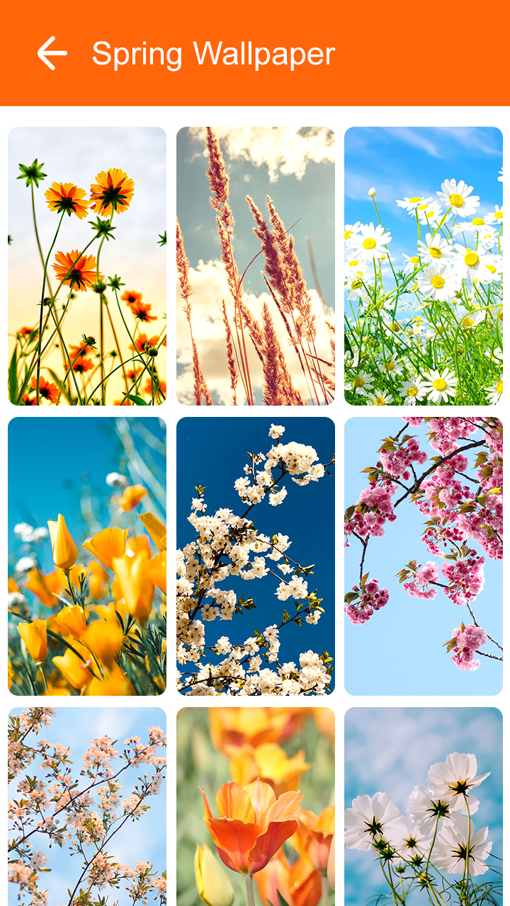 اسکرین شات 7 برنامه Spring Wallpaper 2025