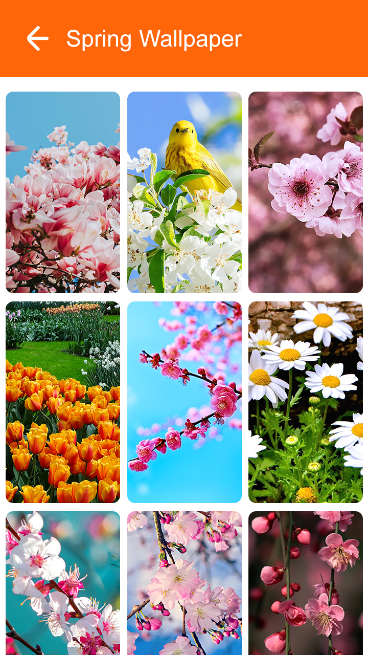 اسکرین شات 8 برنامه Spring Wallpaper 2025