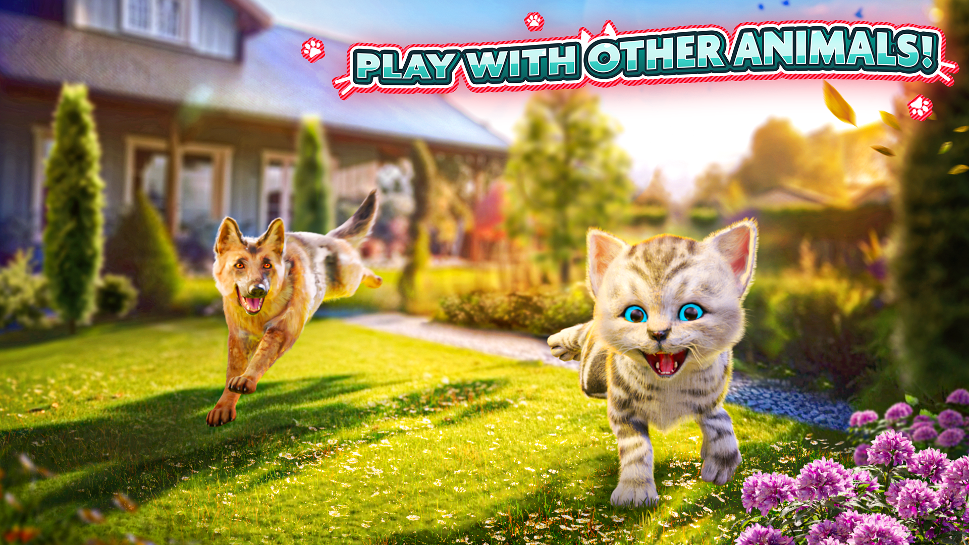 اسکرین شات 3 بازی Cat Simulator 2