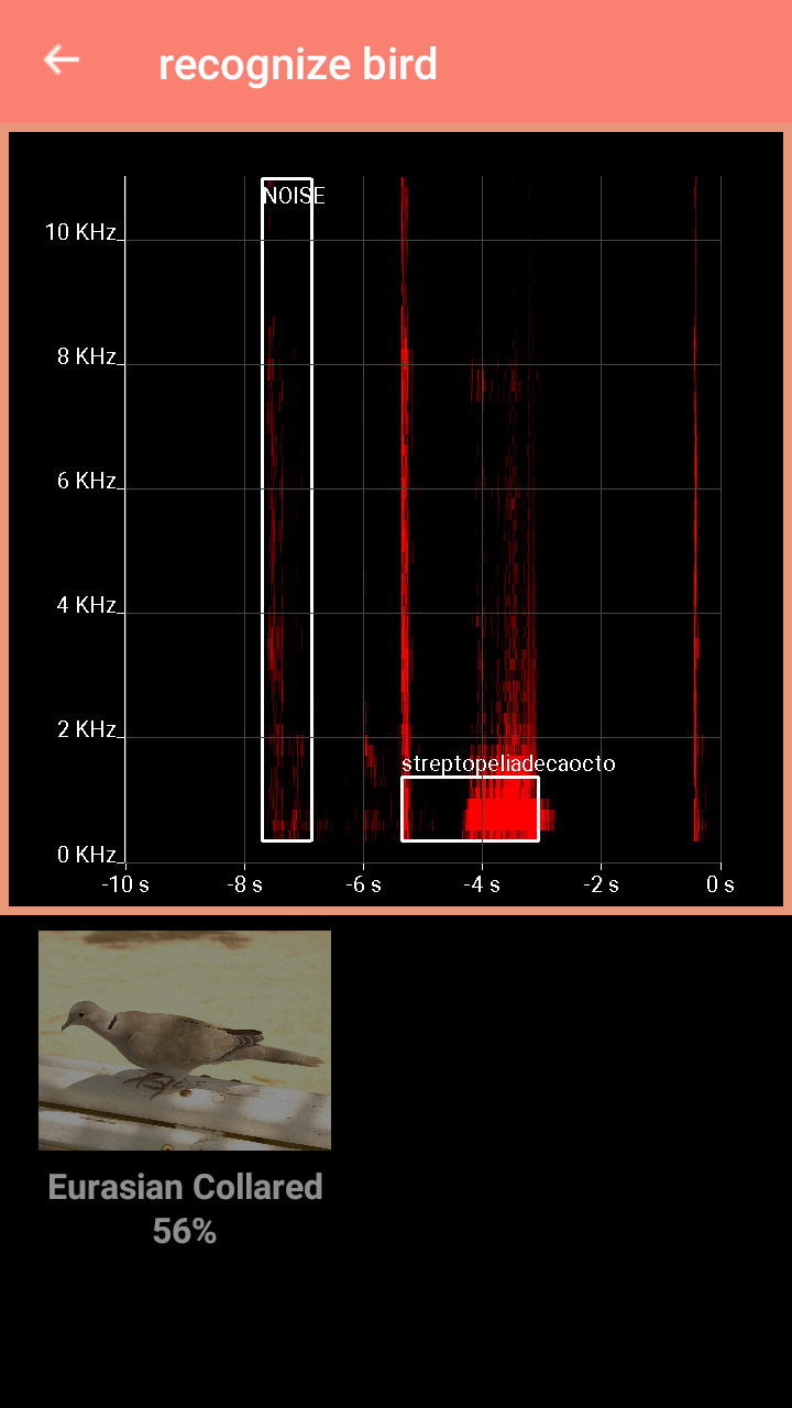 اسکرین شات 3 برنامه Bird Identification