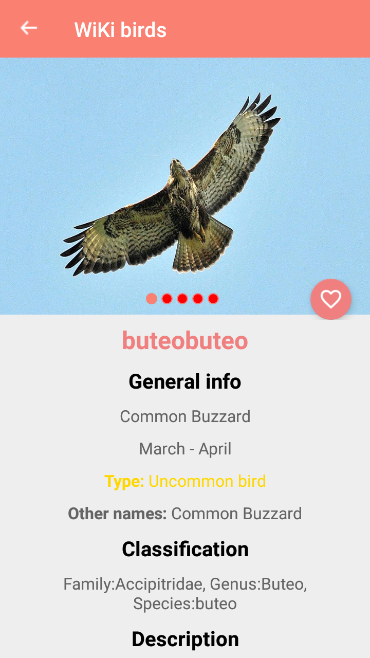 اسکرین شات 4 برنامه Bird Identification