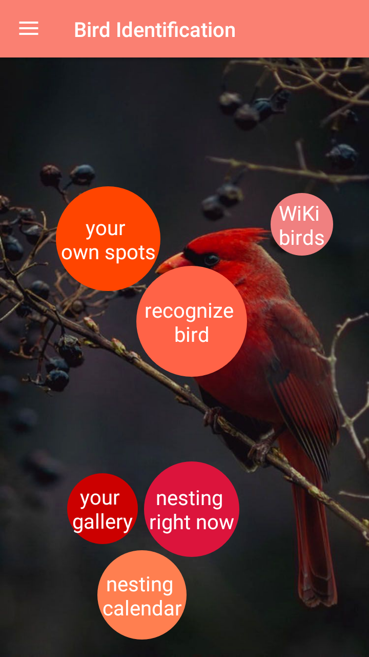 اسکرین شات 1 برنامه Bird Identification