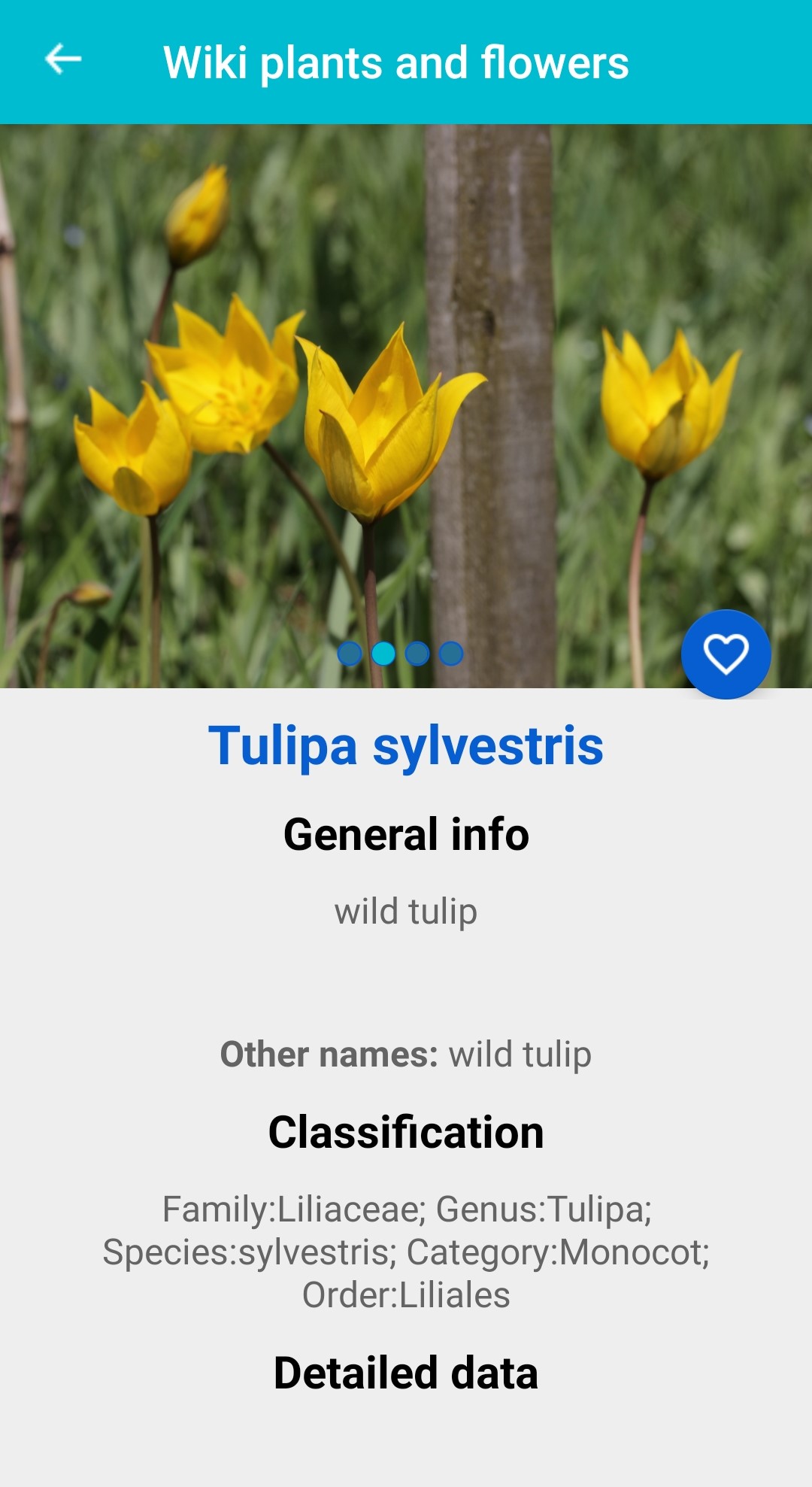 اسکرین شات 4 برنامه Plant & Flower Identification
