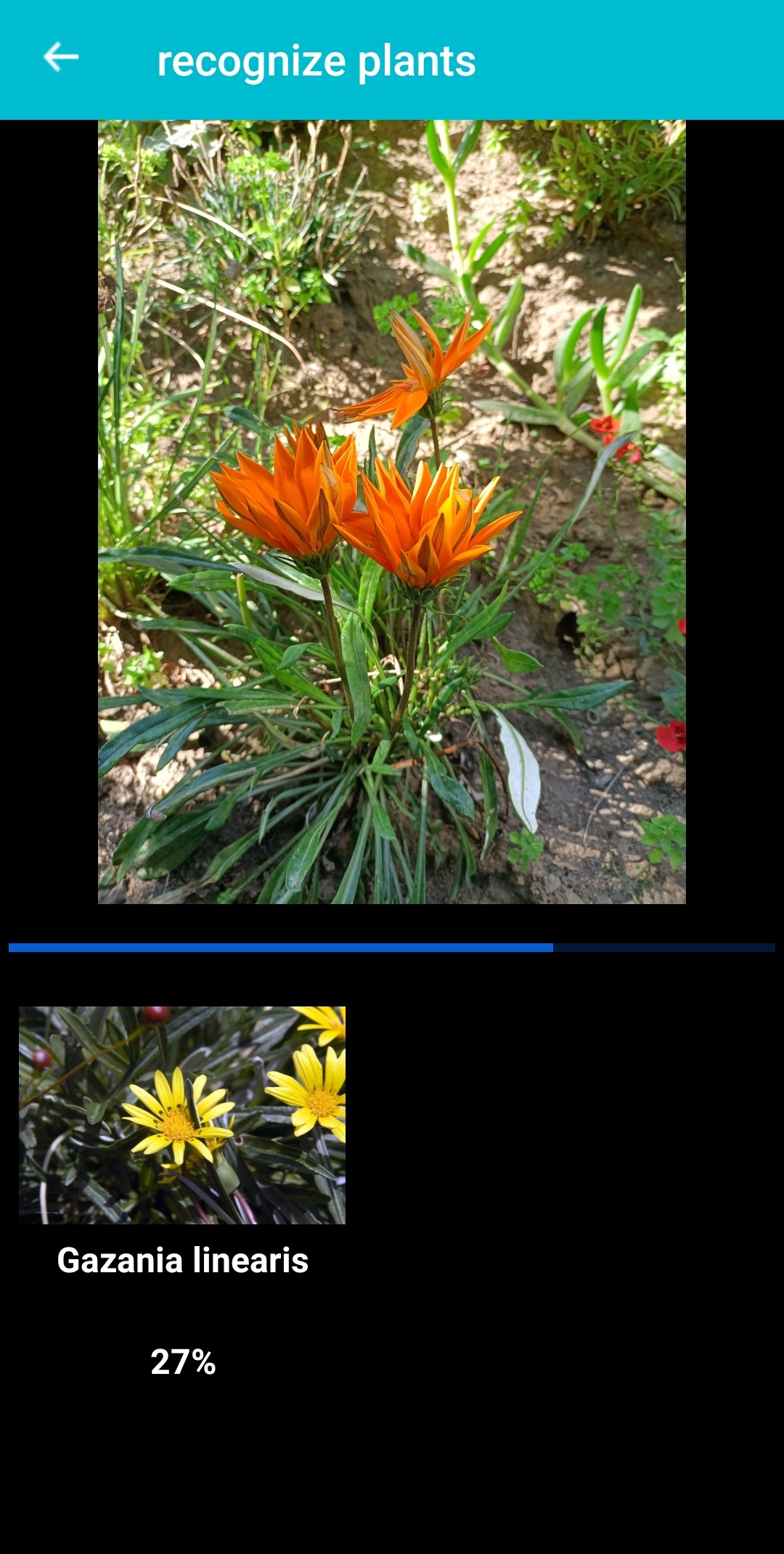 اسکرین شات 2 برنامه Plant & Flower Identification
