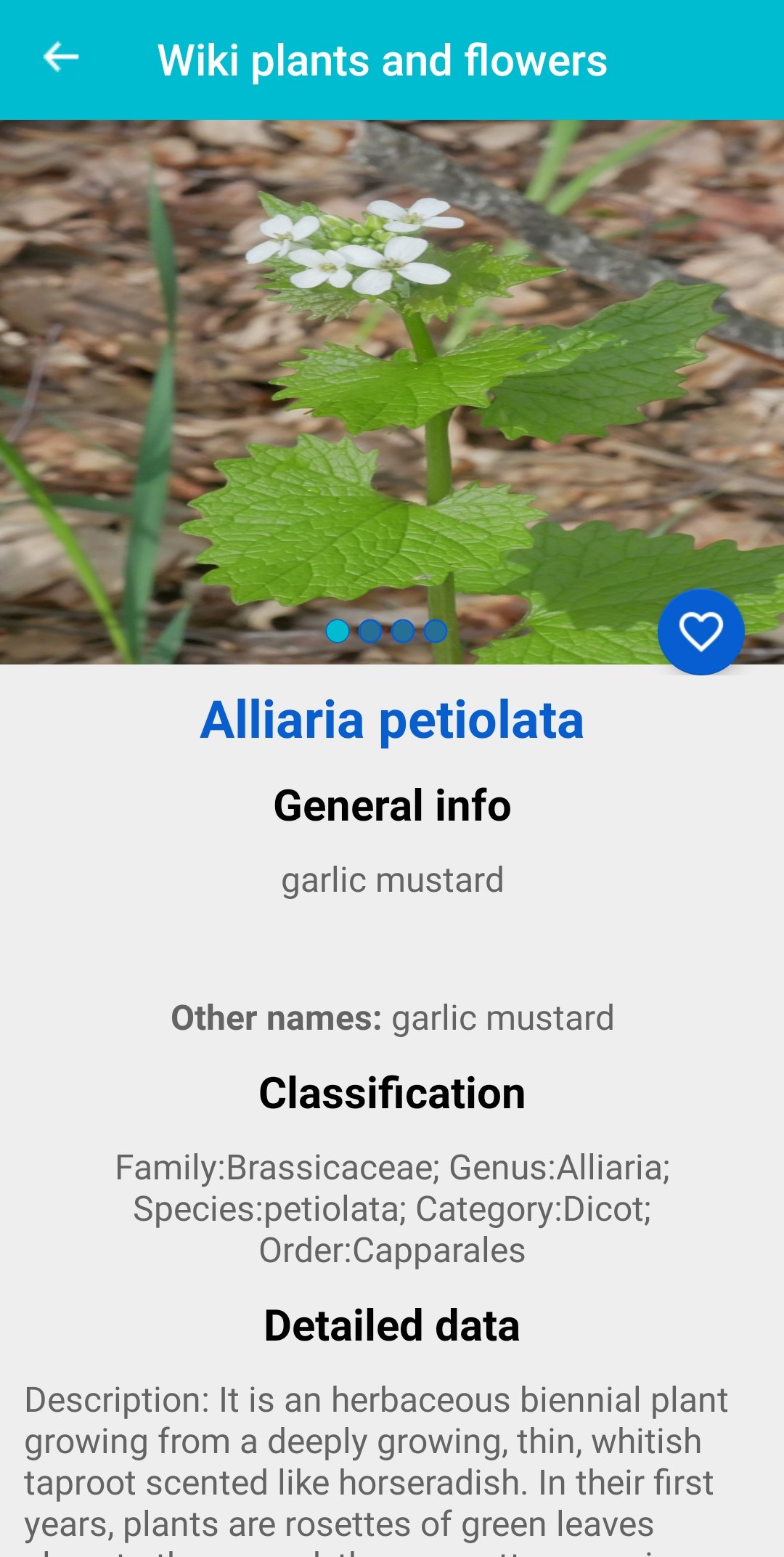 اسکرین شات 8 برنامه Plant & Flower Identification