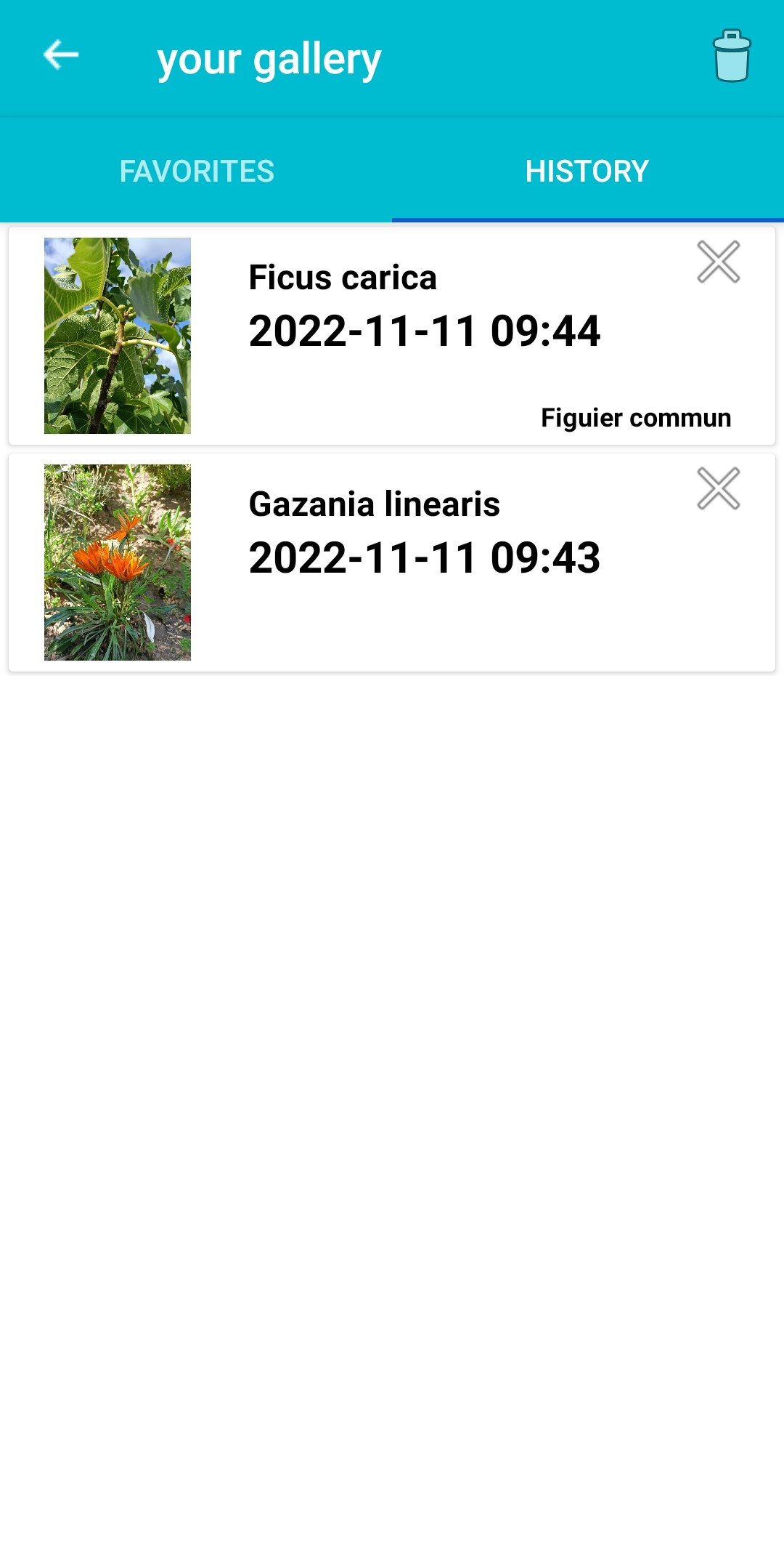 اسکرین شات 7 برنامه Plant & Flower Identification