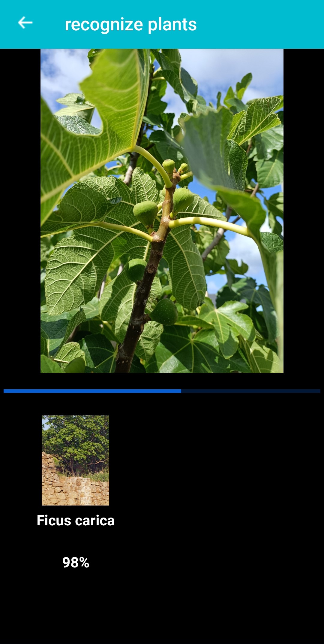 اسکرین شات 3 برنامه Plant & Flower Identification