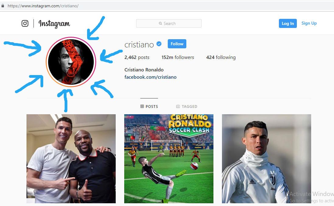 اسکرین شات 2 برنامه پلنگ رو عکس