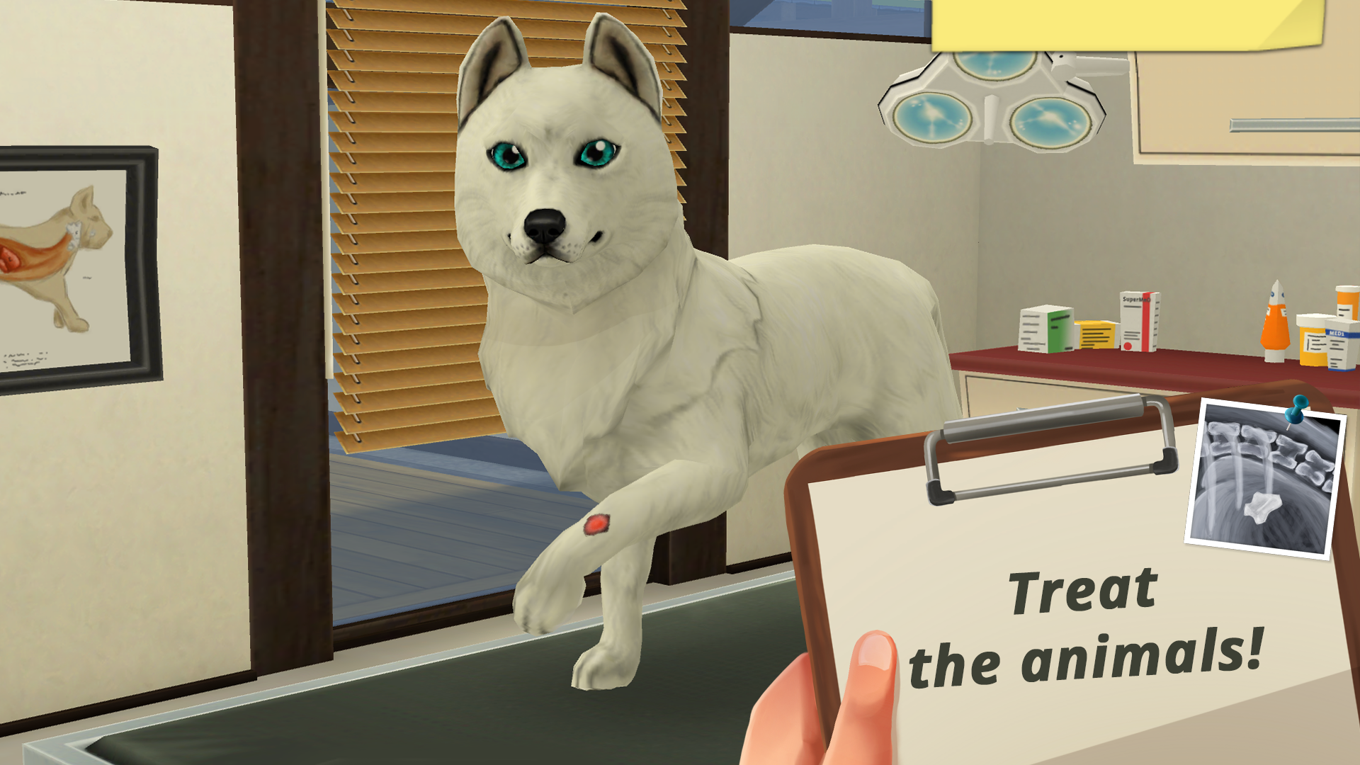 اسکرین شات 4 بازی Pet World: My Animal Hospital