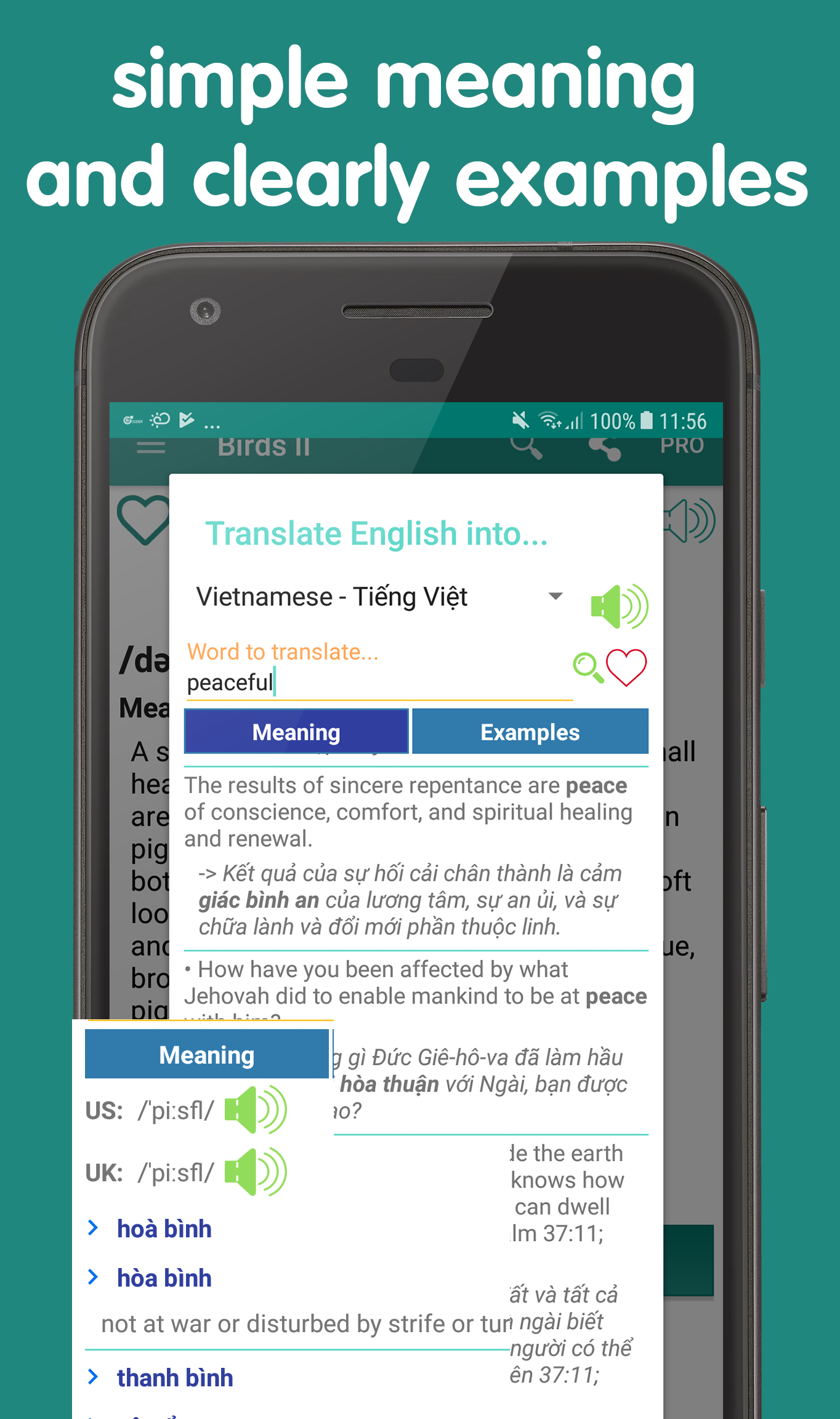 اسکرین شات 8 برنامه English vocabulary by picture