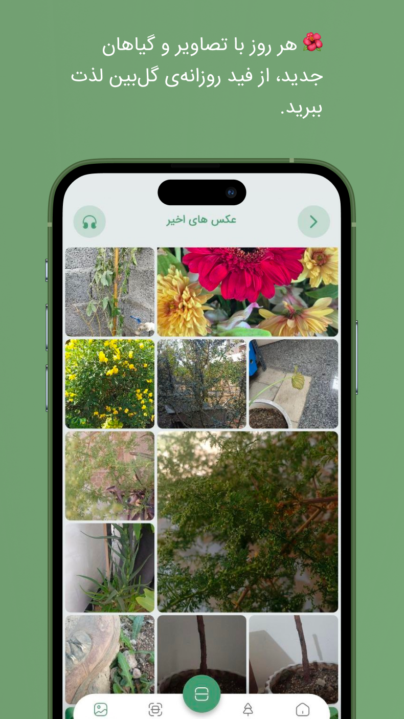 اسکرین شات 1 برنامه تشخیص گل و گیاه با هوش مصنوعی